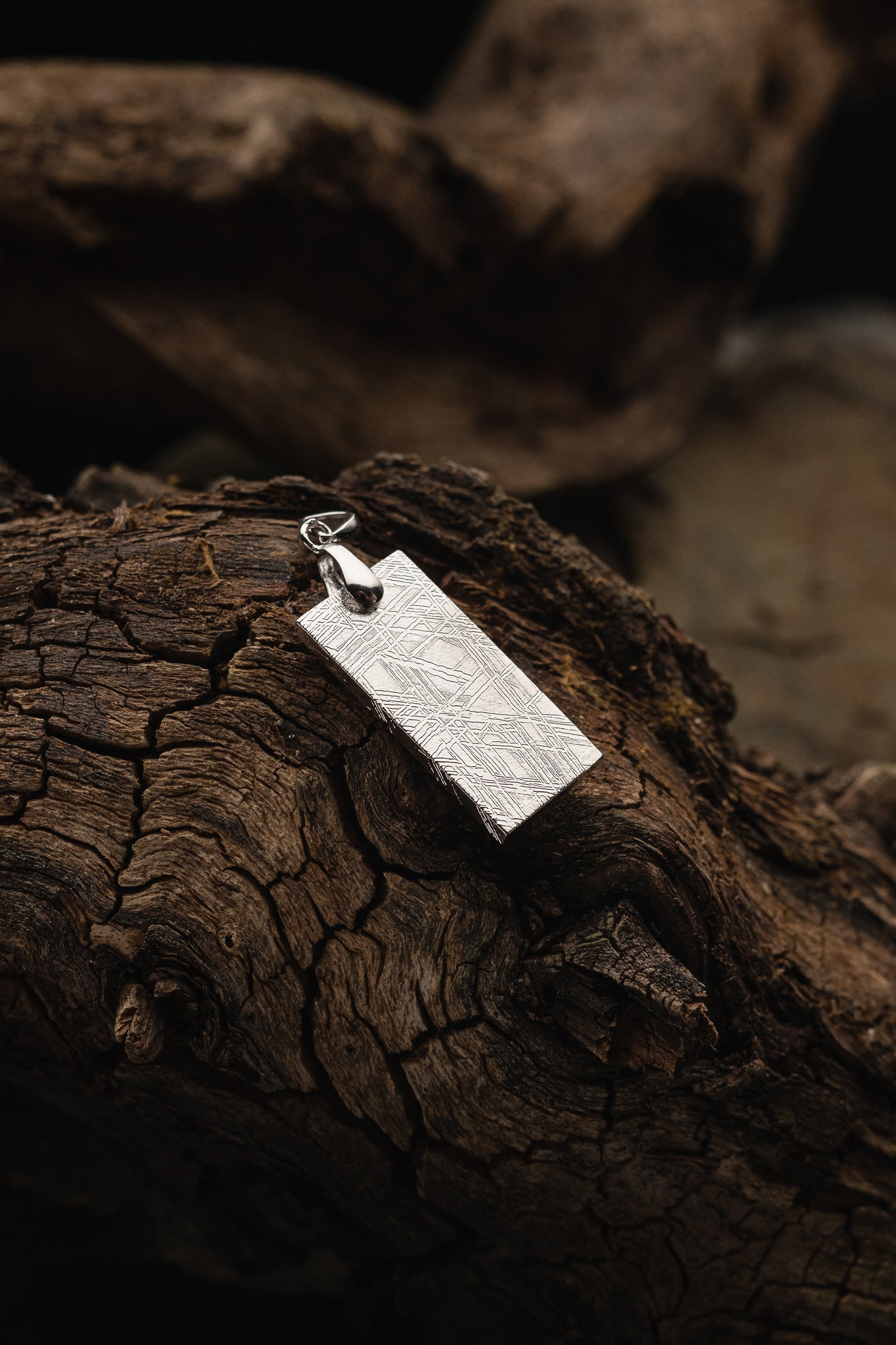 Muonionalusta Meteorite Slice pendant
