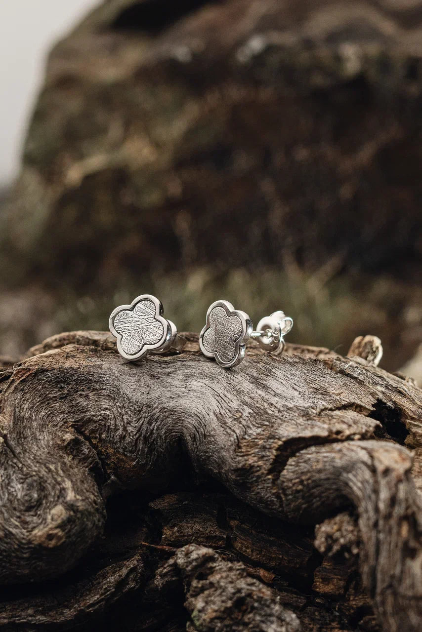 Muonionalusta Meteorite Clover earrings