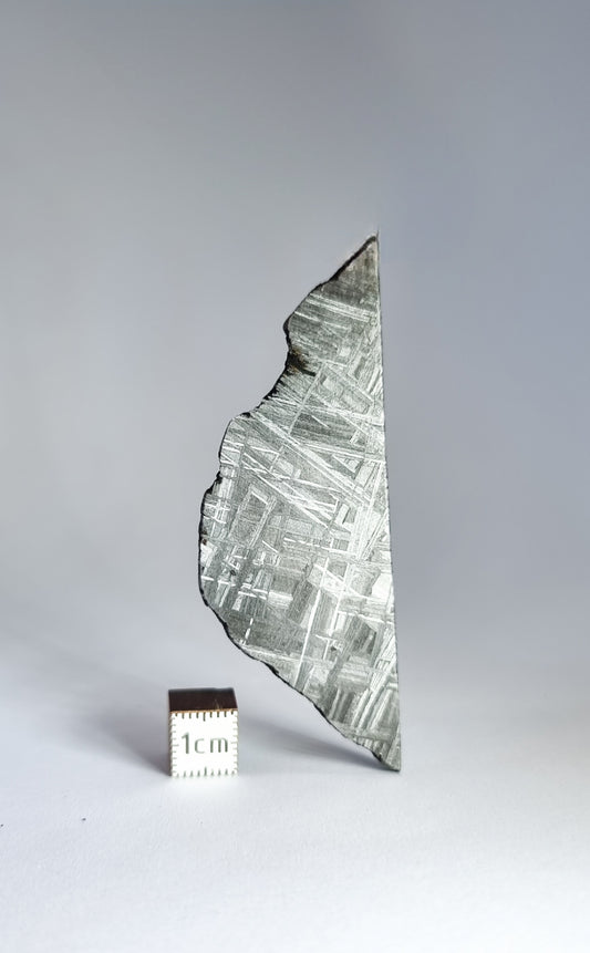 Muonionalusta meteorite slice 30.76g