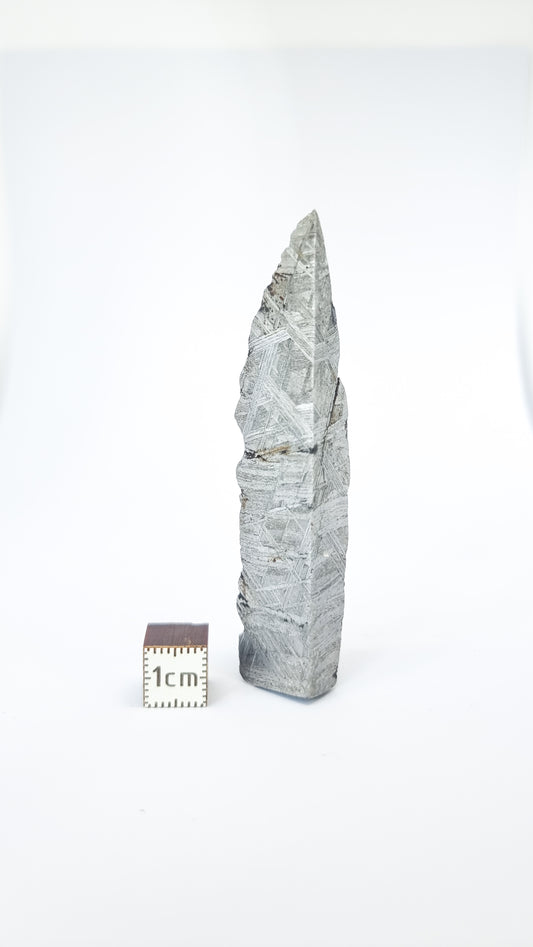 Muonionalusta meteorite, Sweden, 36.77 fragment.