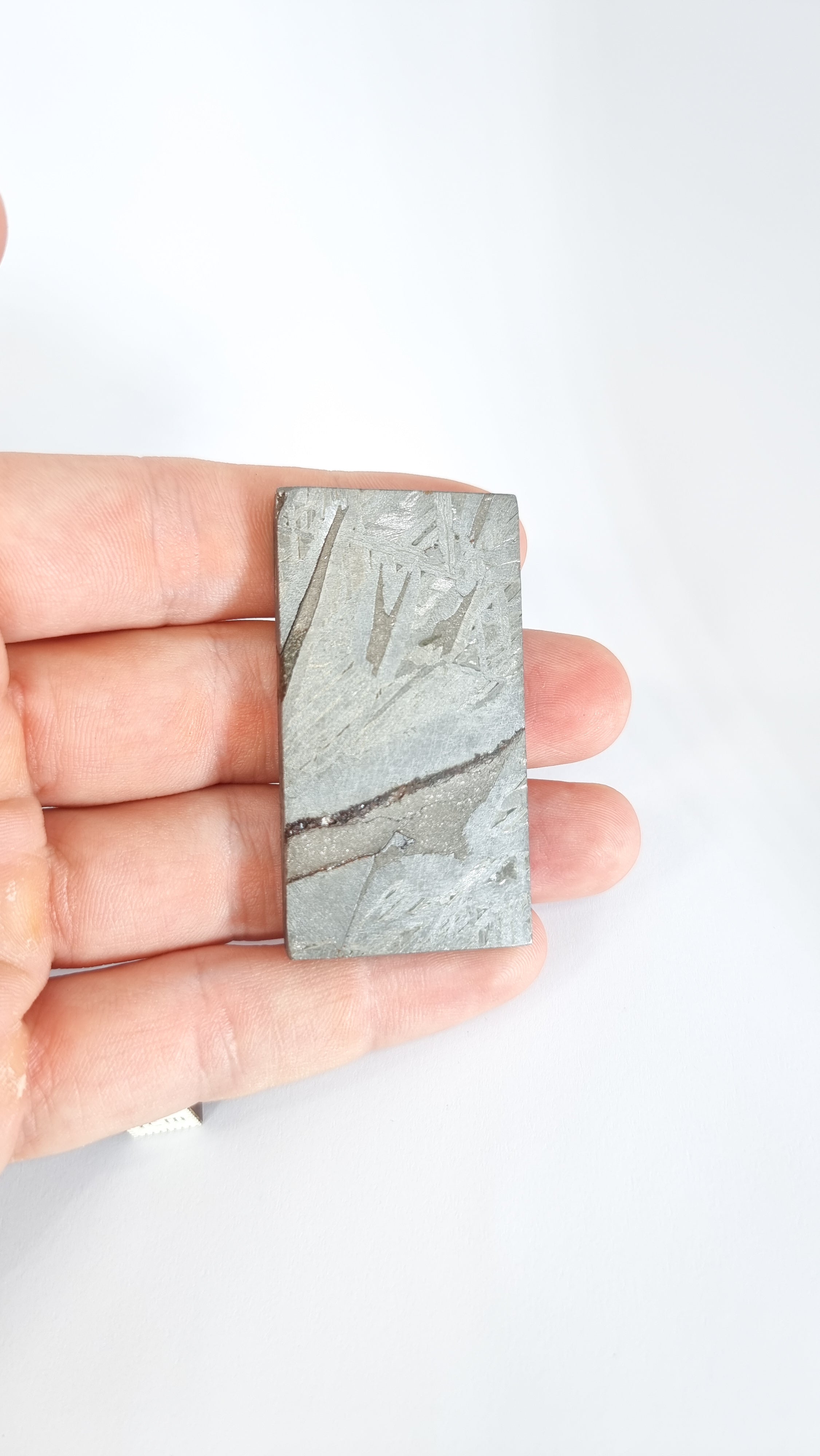 Aletai meteorite, Gobi Desert, 72.21g slice.
