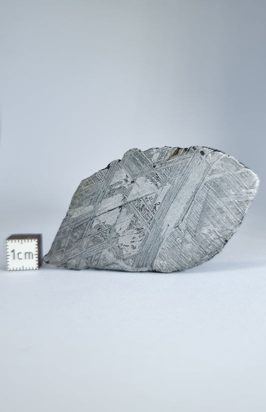 Muonionalusta meteorite slice 37.20g