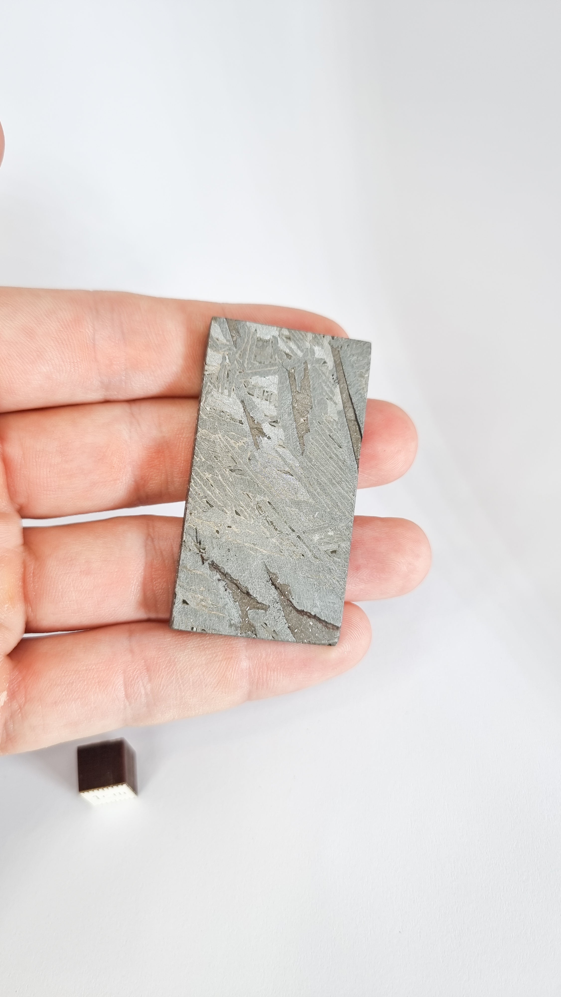Aletai meteorite, Gobi Desert, 72.21g slice.
