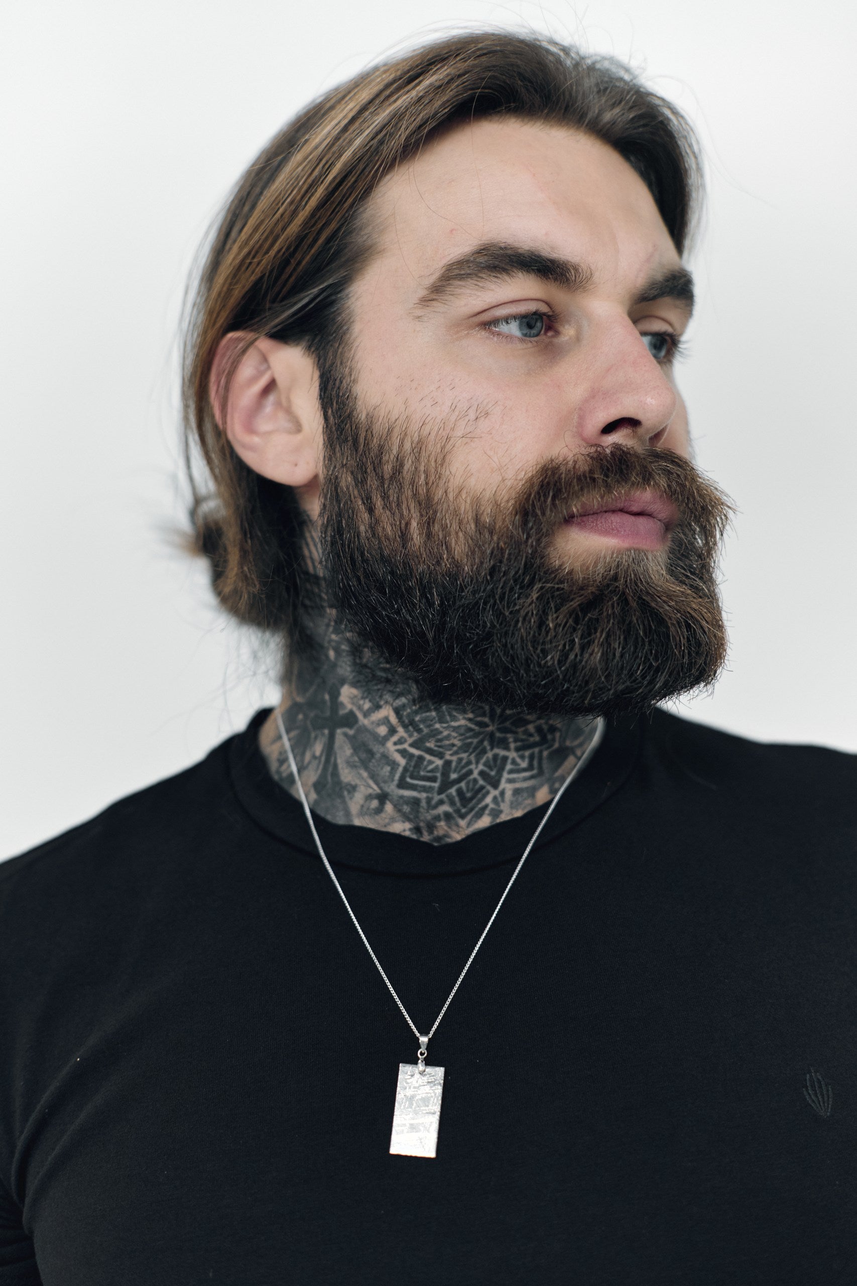 Muonionalusta Meteorite Slice pendant