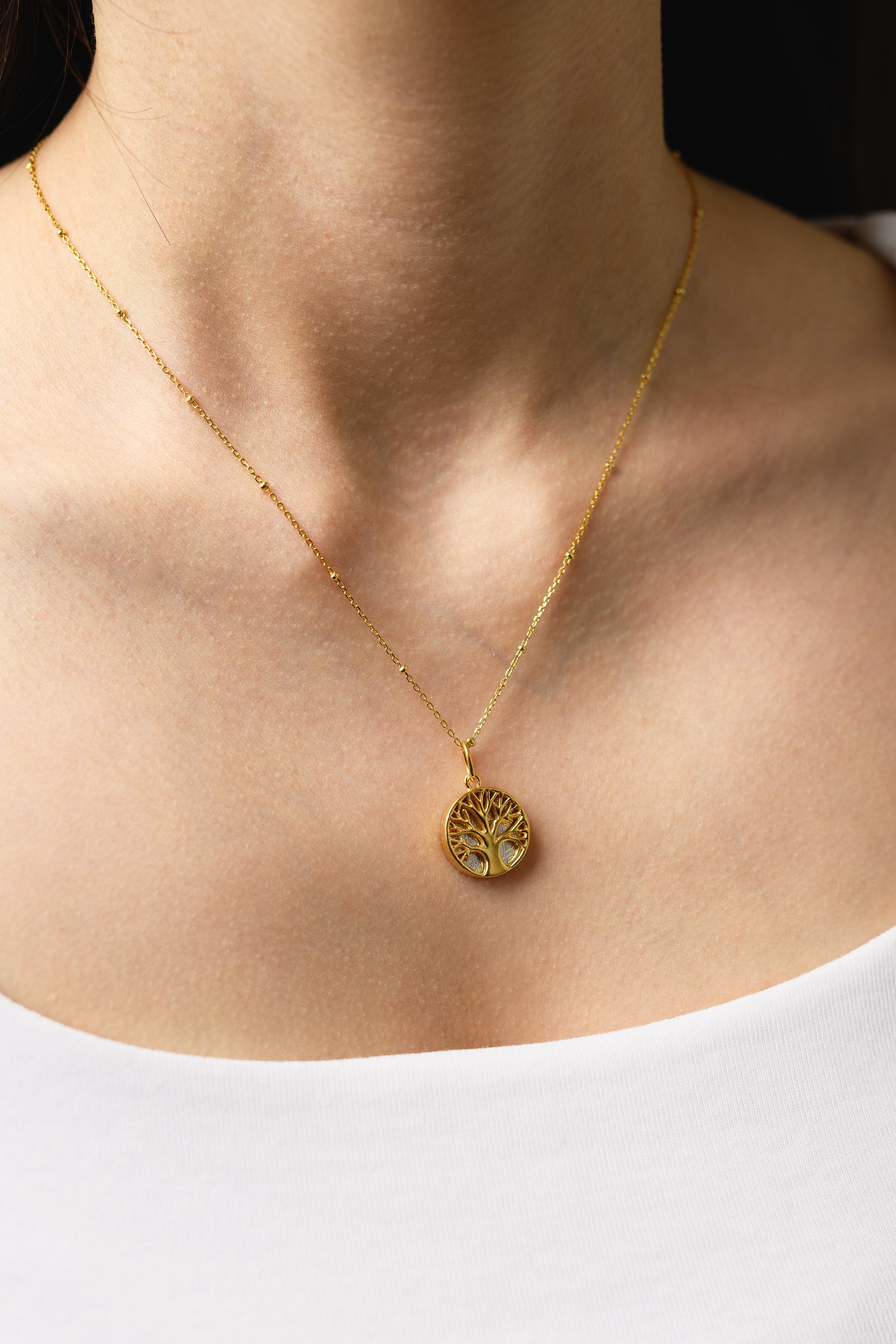 Muonionalusta meteorite pendant, Tree of life, 18k gold plated.