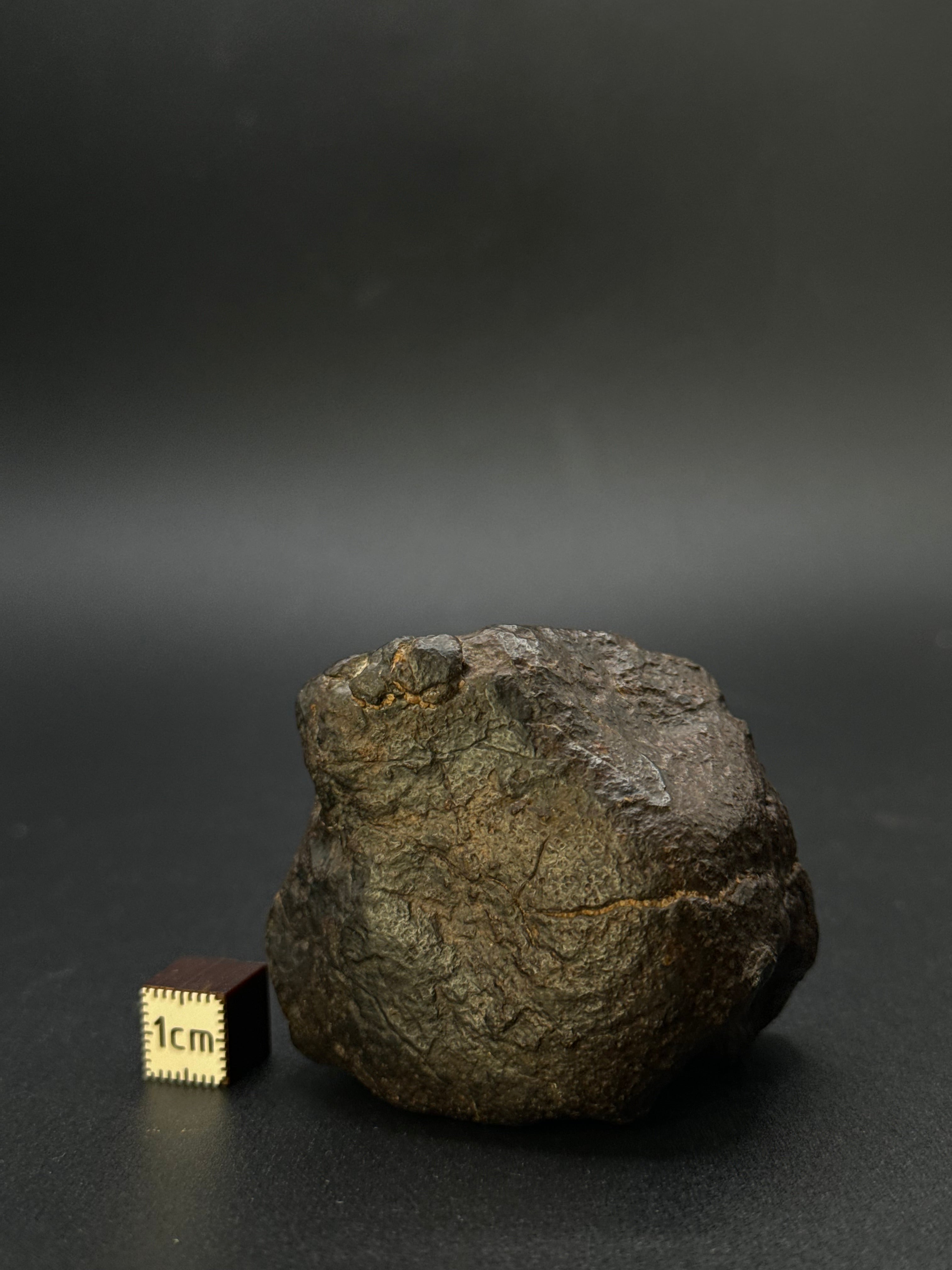 CHONDRITE METEORITE, NORTH WEST AFRICA. 184,6 GRAMS.