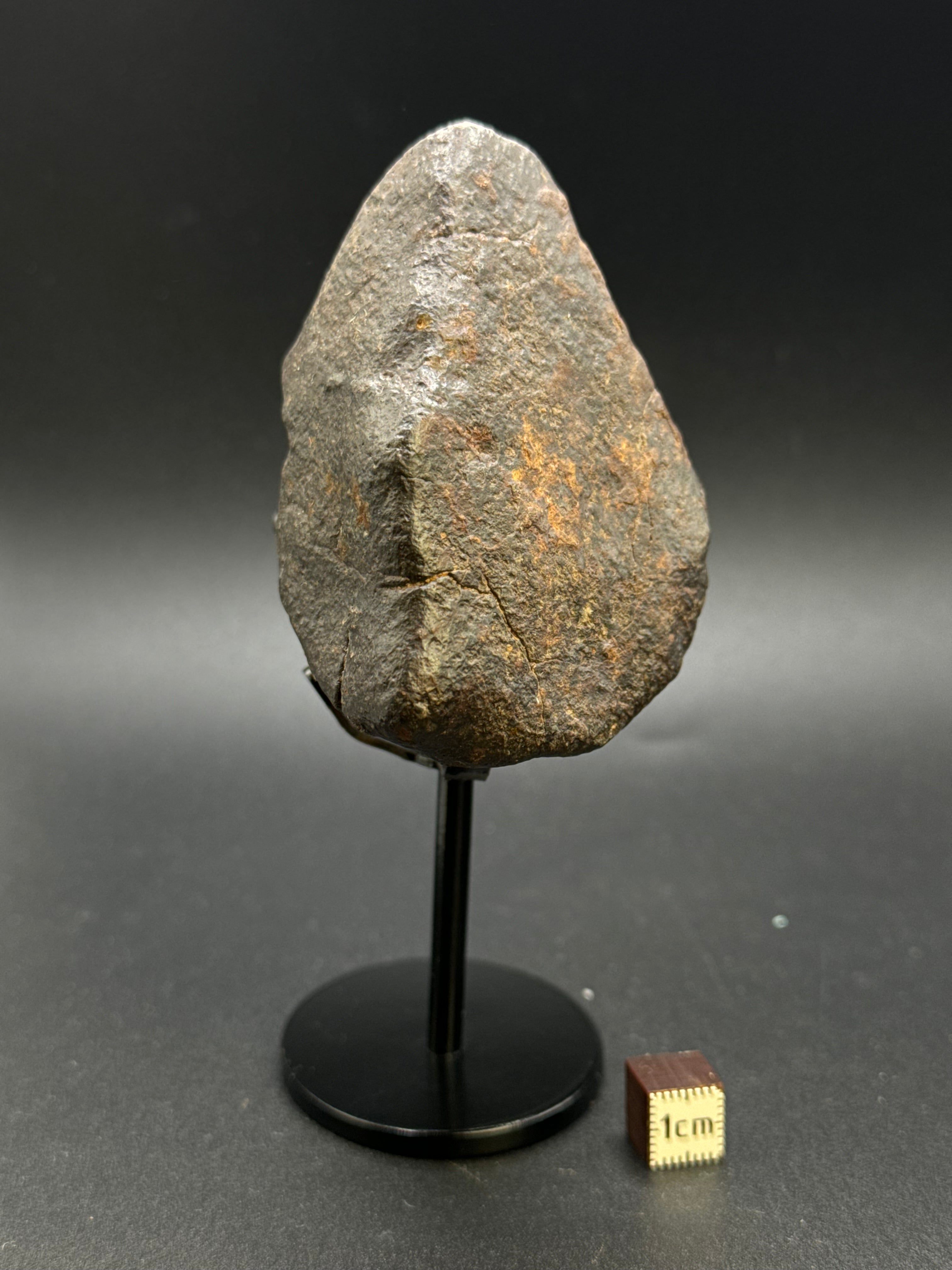 CHONDRITE METEORITE, NORTH WEST AFRICA. 310 GRAMS.