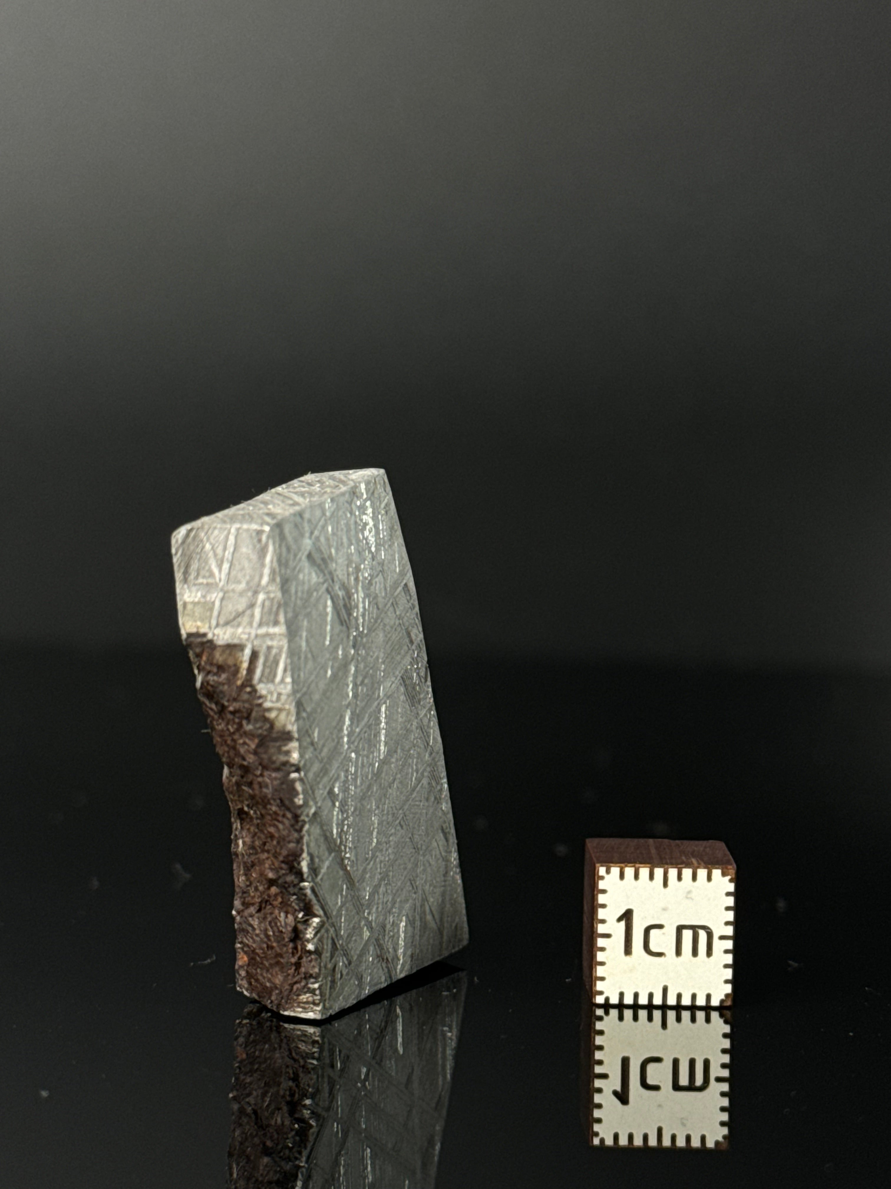 MUONIONALUSTA METEORITE, SWEDEN 42,78 GRAMS.