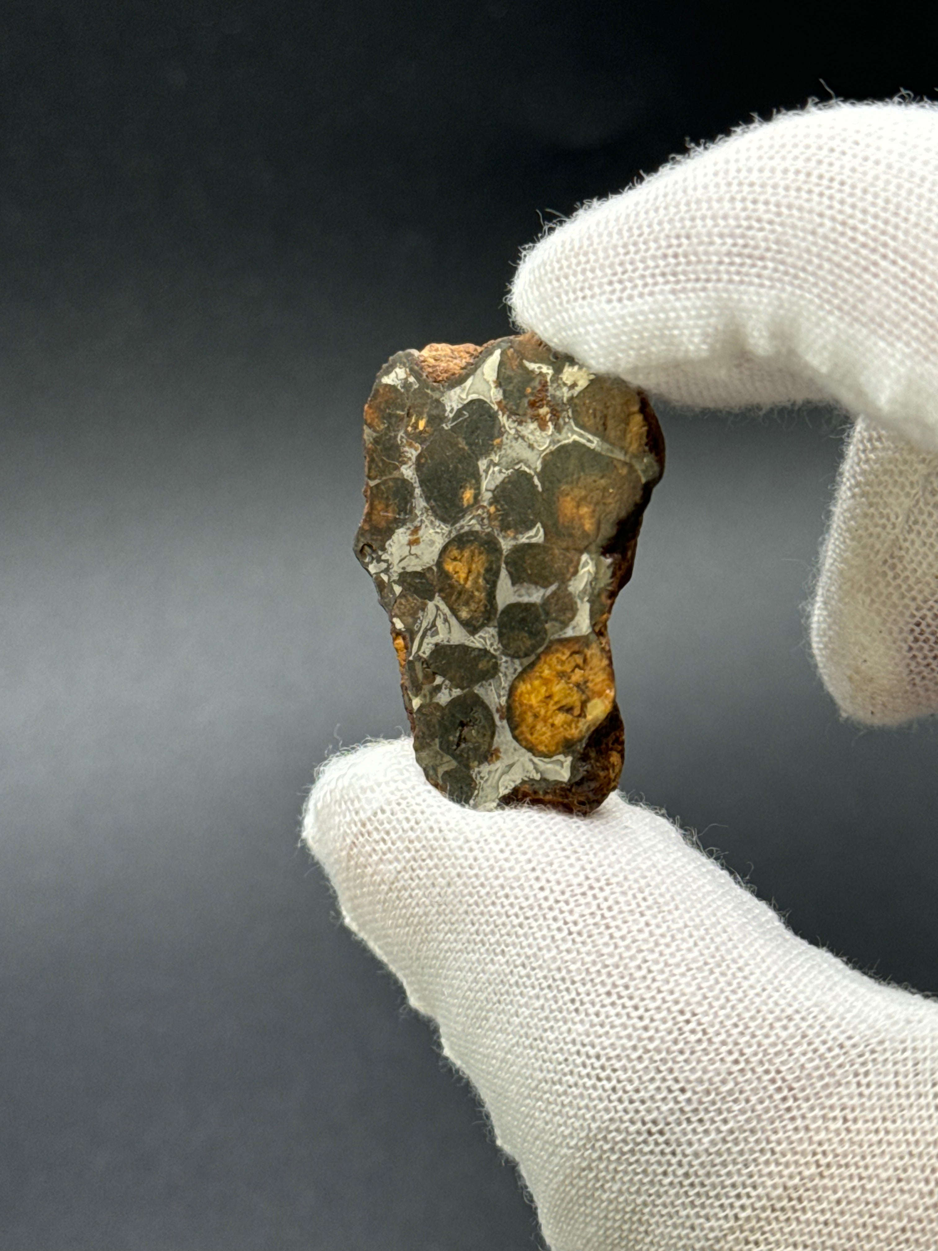 SERICHO PALLASITE METEORITE, KENYA. 15,93 GRAMS END-CUT.