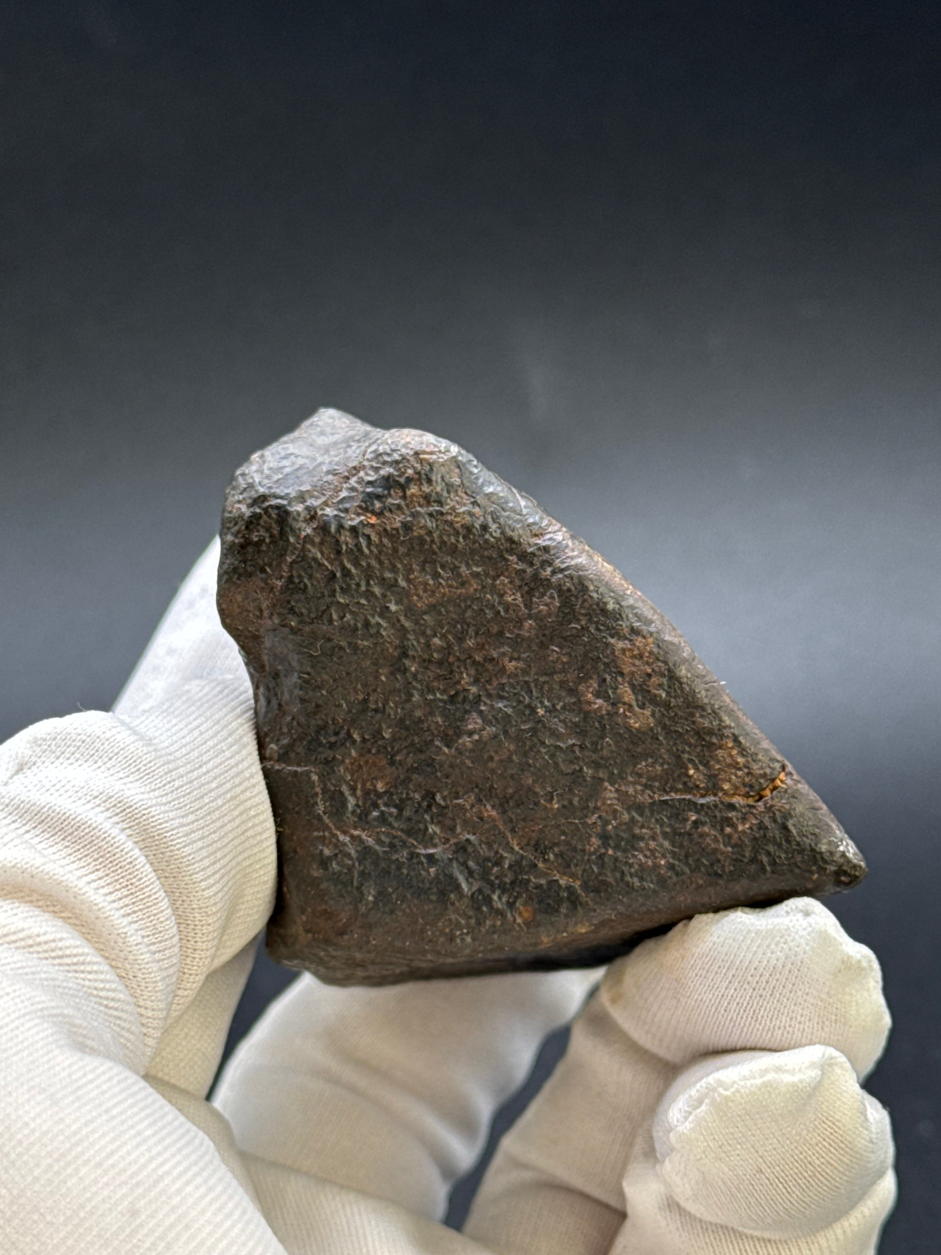 CHONDRITE METEORITE, NORTH WEST AFRICA. 263 GRAMS.
