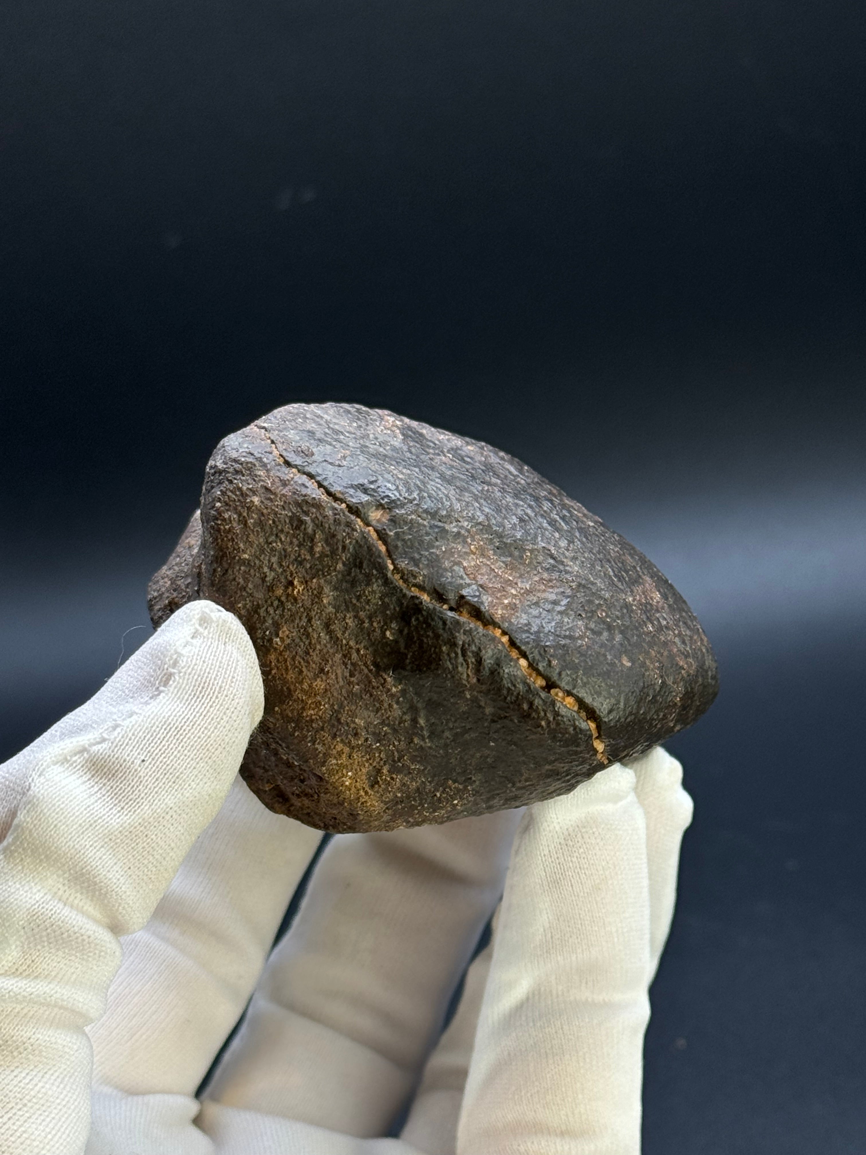 CHONDRITE METEORITE, NORTH WEST AFRICA. 352 GRAMS.