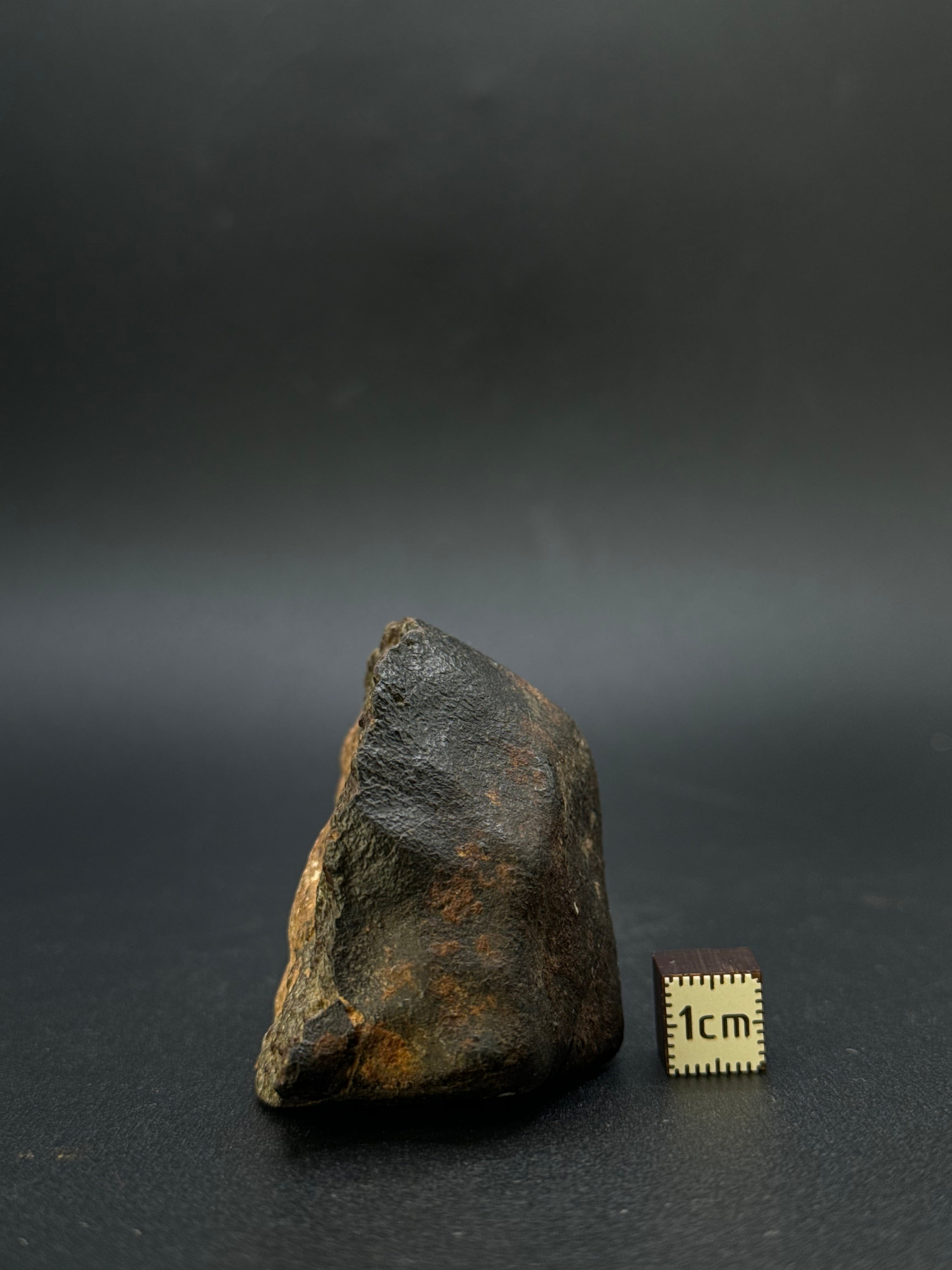 CHONDRITE METEORITE, NORTH WEST AFRICA. 124,13 GRAMS.