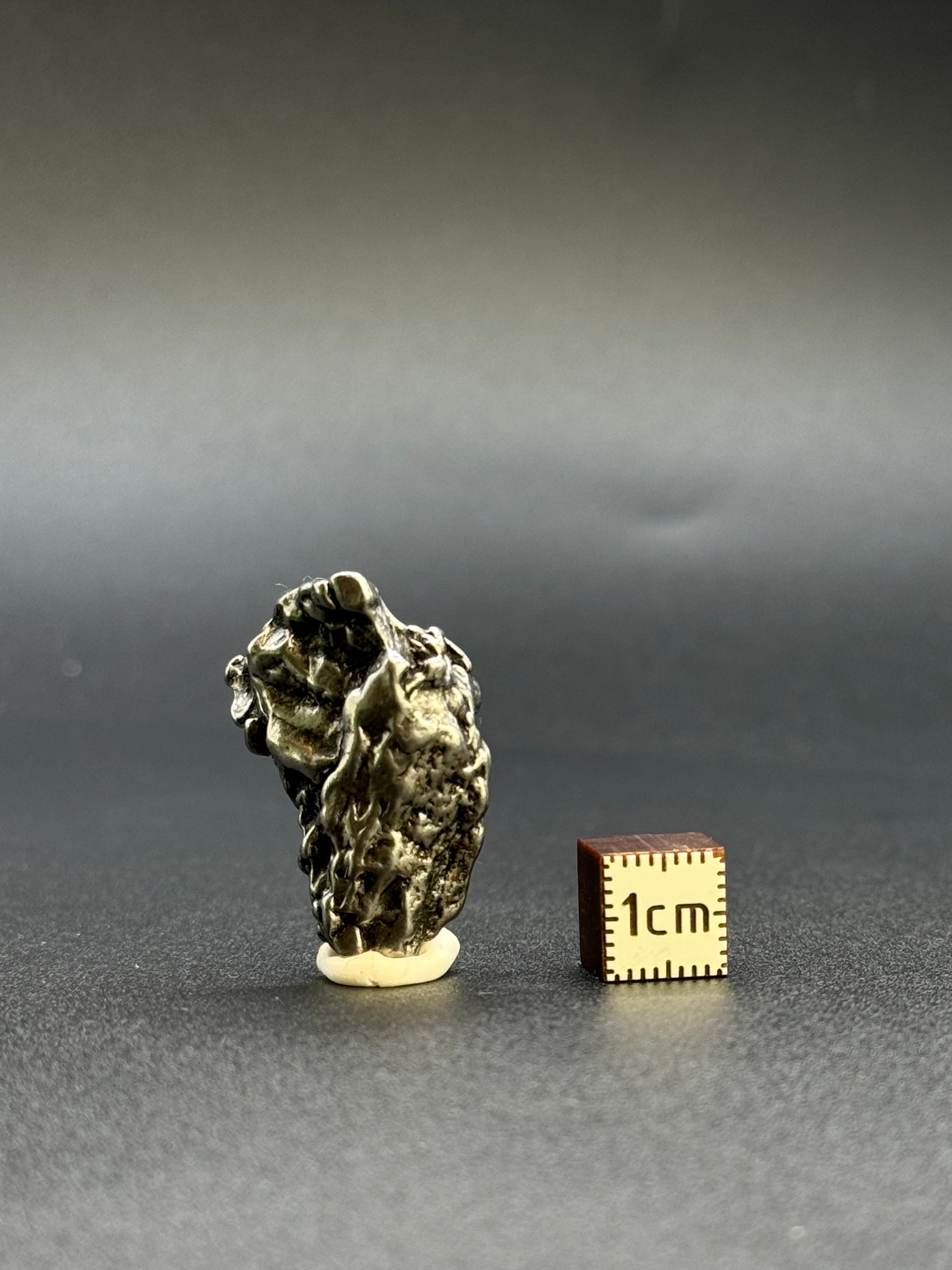 CAMPO DEL CIELO METEORITE, SOUTH AMERICA. 21,04 GRAMS.