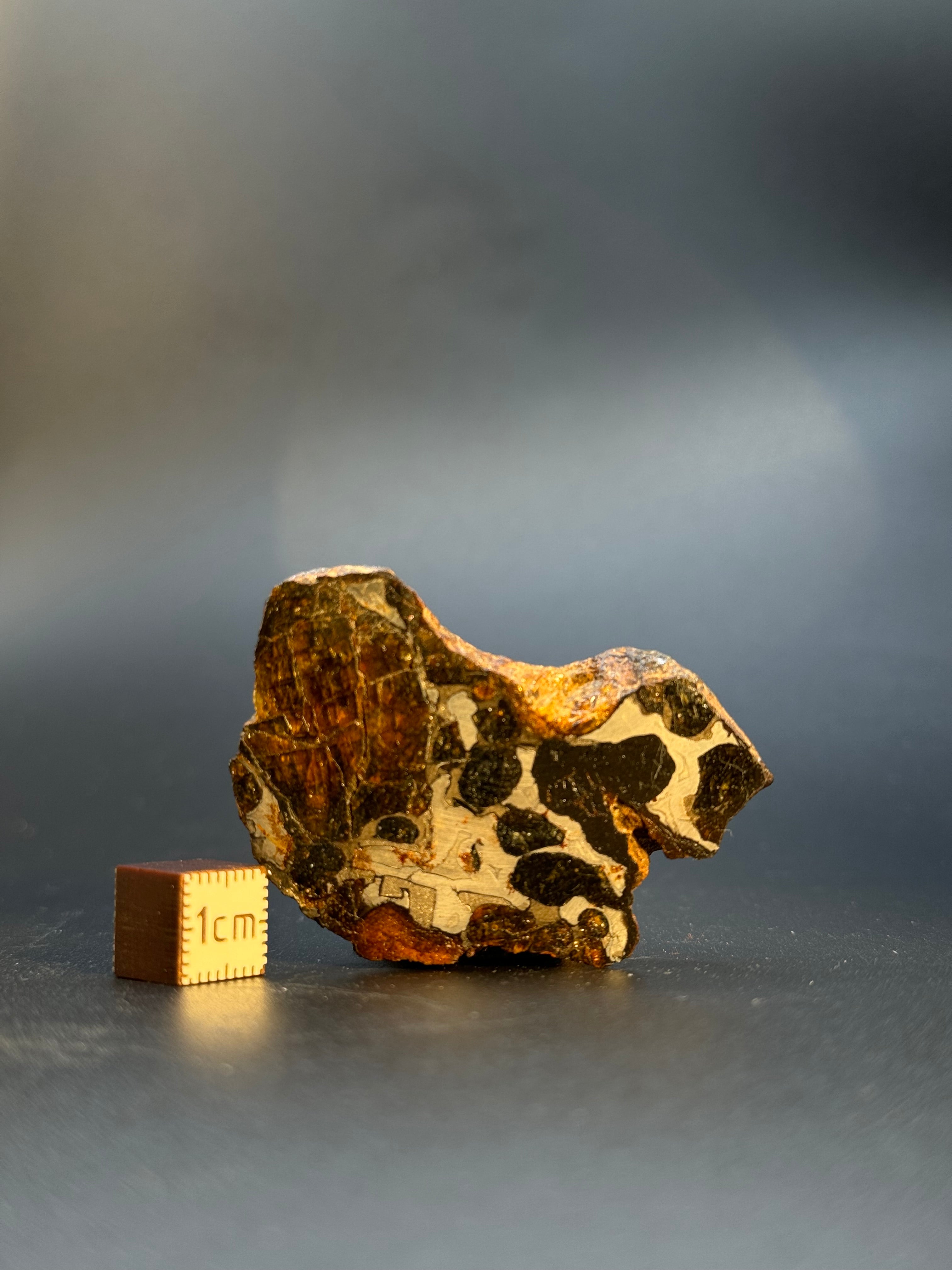 FULL SERICHO METEORITE FROM KENYA, IN TWO HALVES. TOTAL WEIGHT: 121,35 GRAMS.