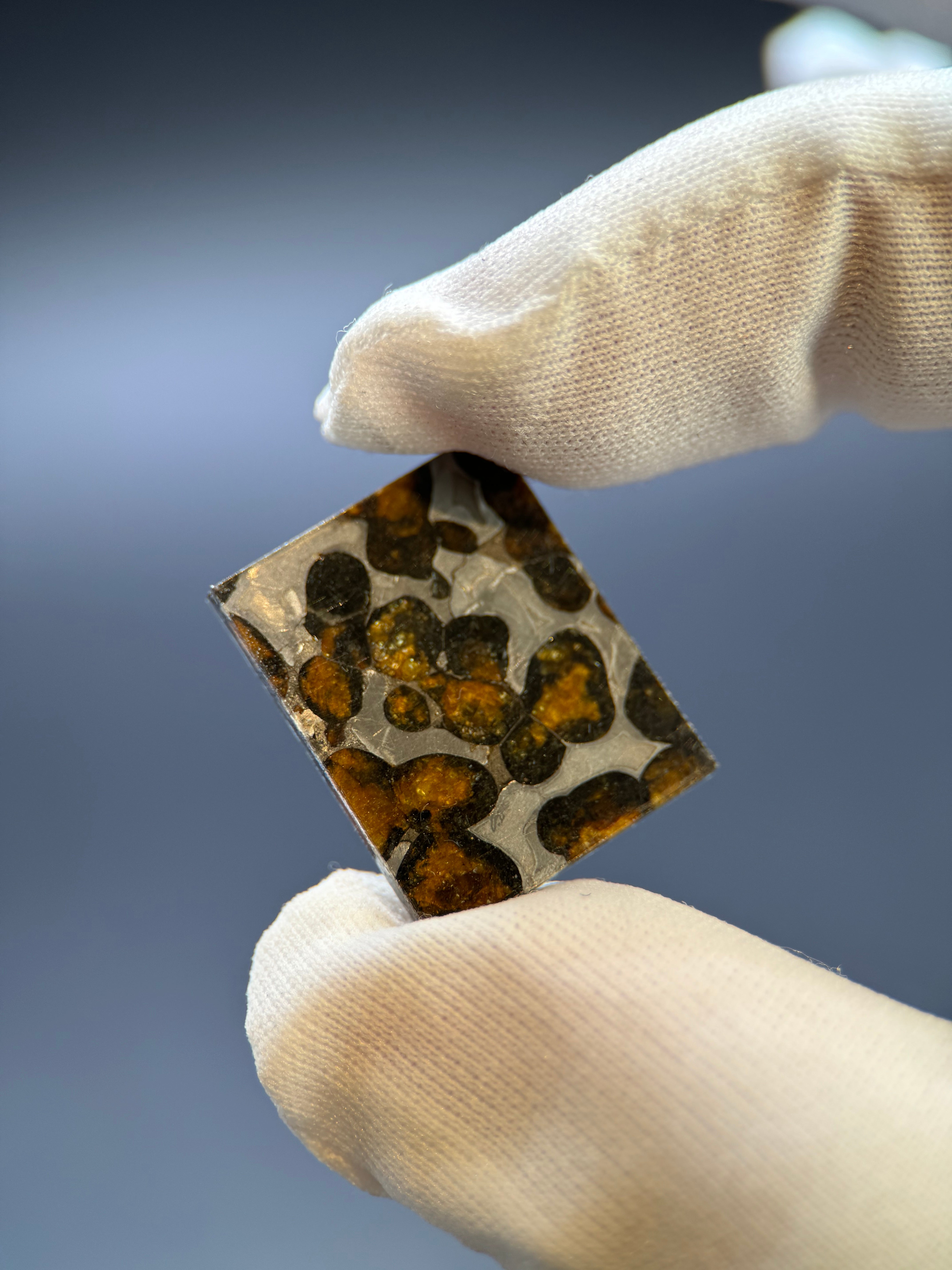 SERICHO METEORITE, KENYA. DISPLAY BOX. 4,4 GRAMS.