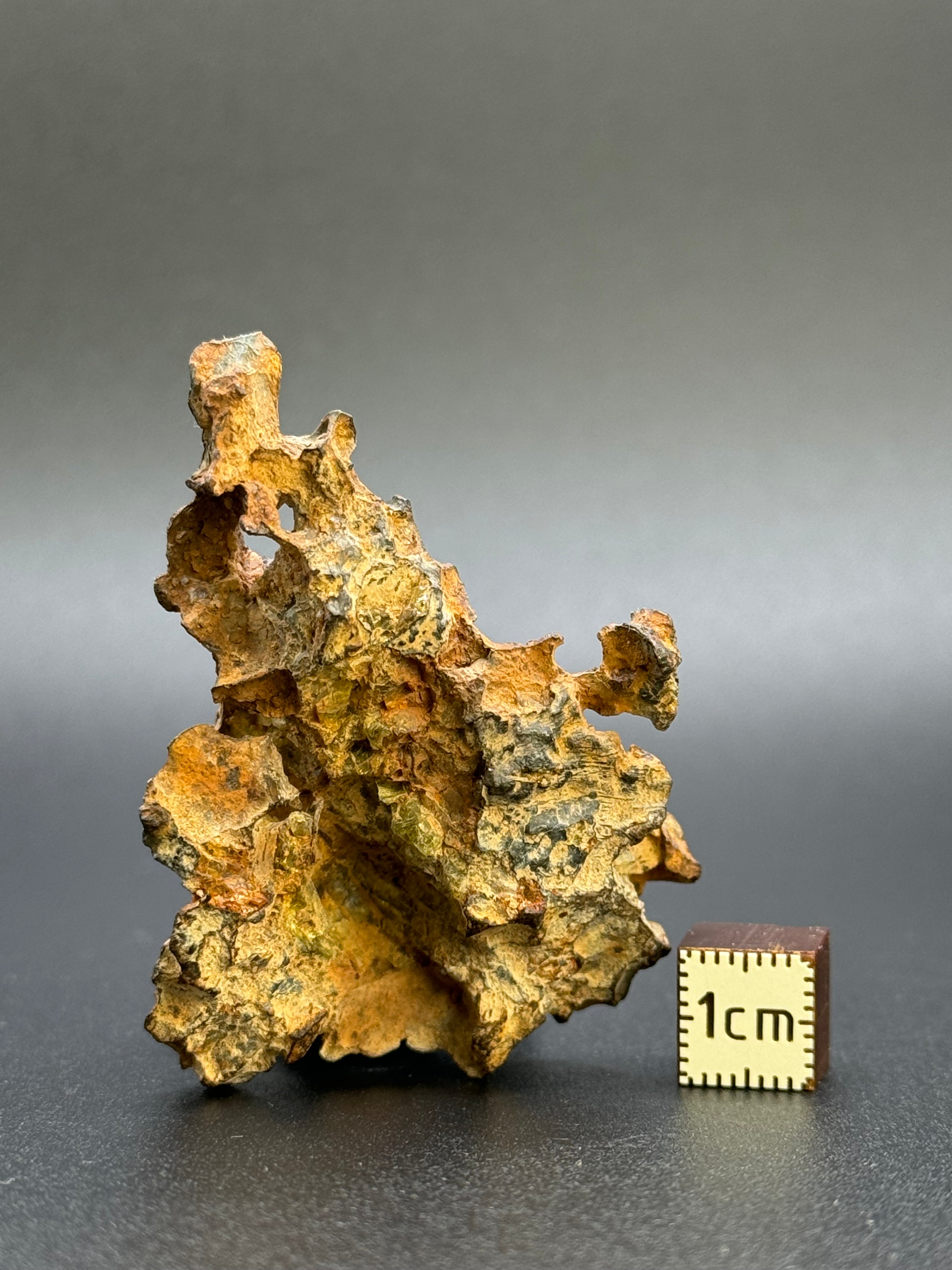 IMILAC PALLASITE METEORITE, CHILE. 55,41 grams. Full specimen.