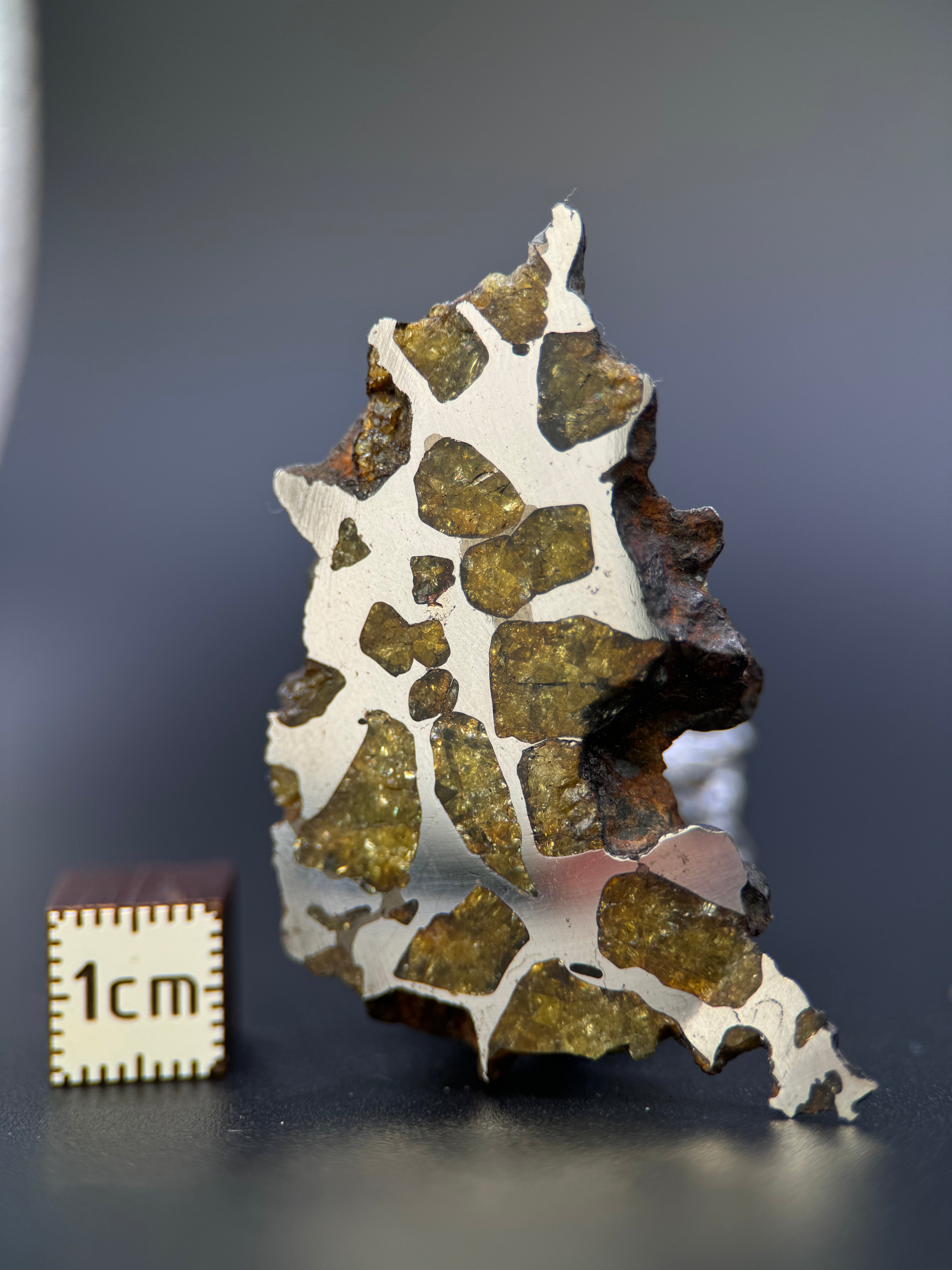 IMILAC PALLASITE METEORITE, END CUT, CHILE. 25,36 GRAMS.