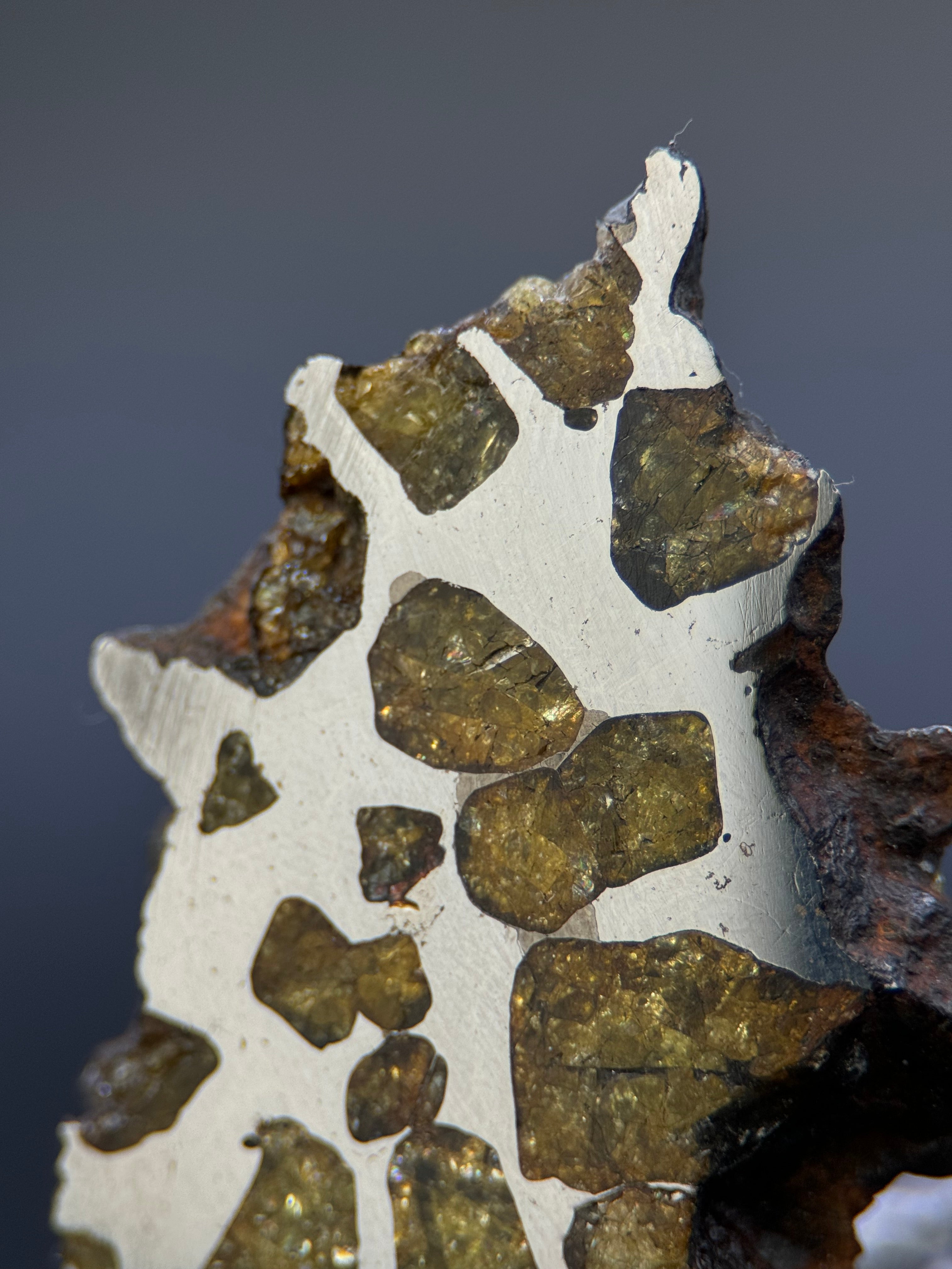 IMILAC PALLASITE METEORITE, END CUT, CHILE. 25,36 GRAMS.