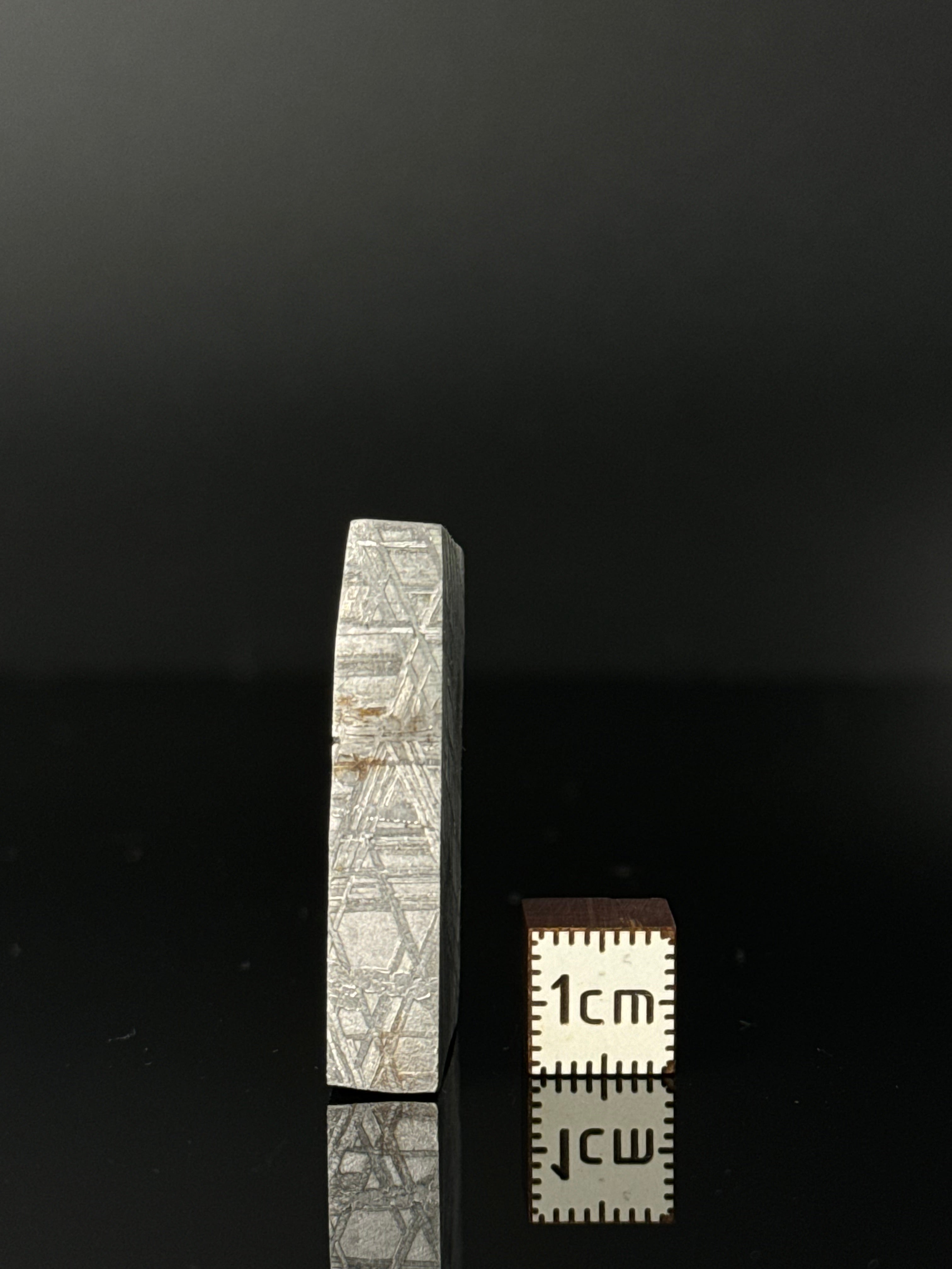 MUONIONALUSTA METEORITE, SWEDEN 42,78 GRAMS.