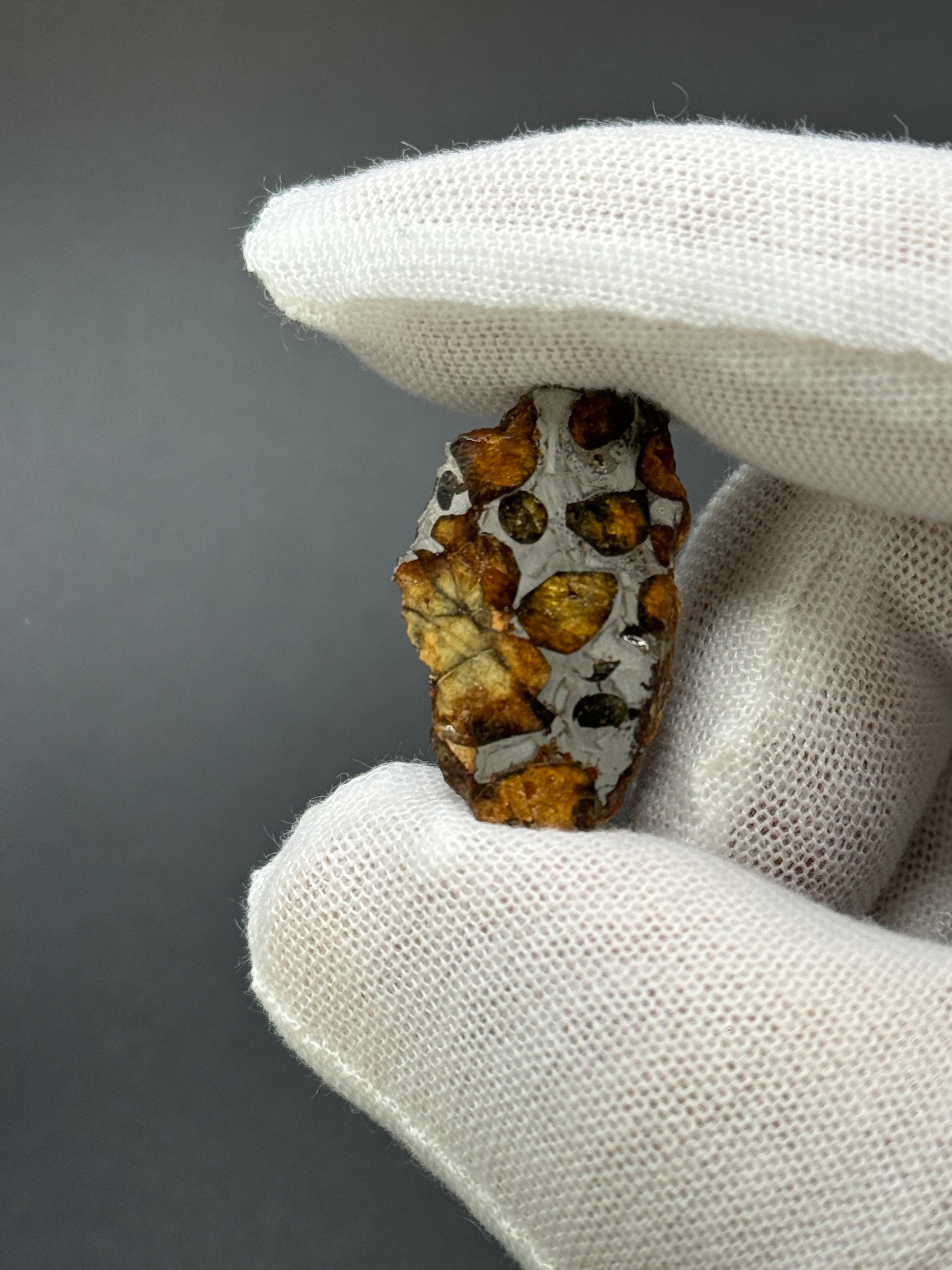 SERICHO PALLASITE METEORITE, KENYA. 9,56 GRAMS END-CUT