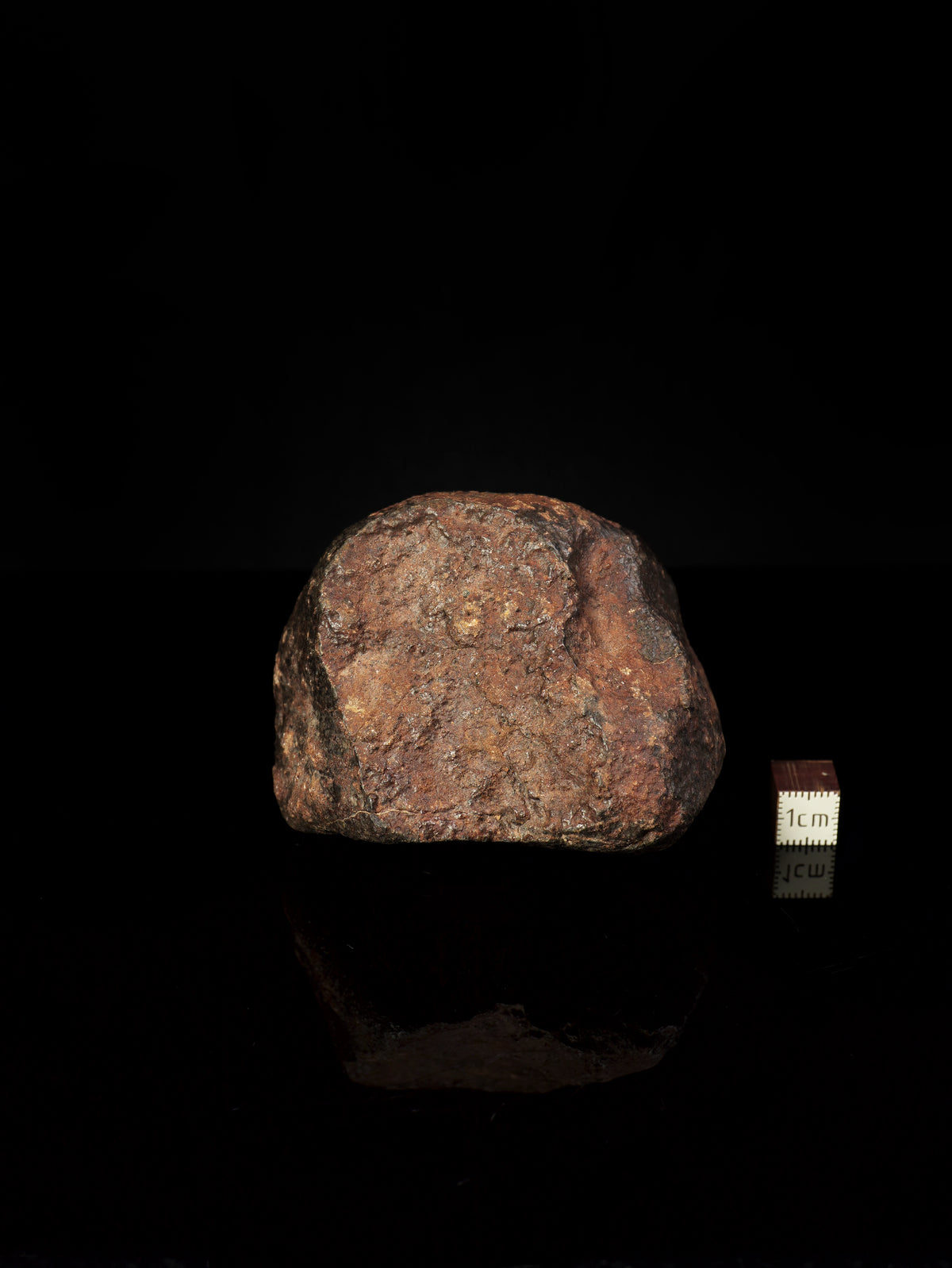 CHONDRITE METEORITE, NORTH WEST AFRICA. 437 GRAMS.