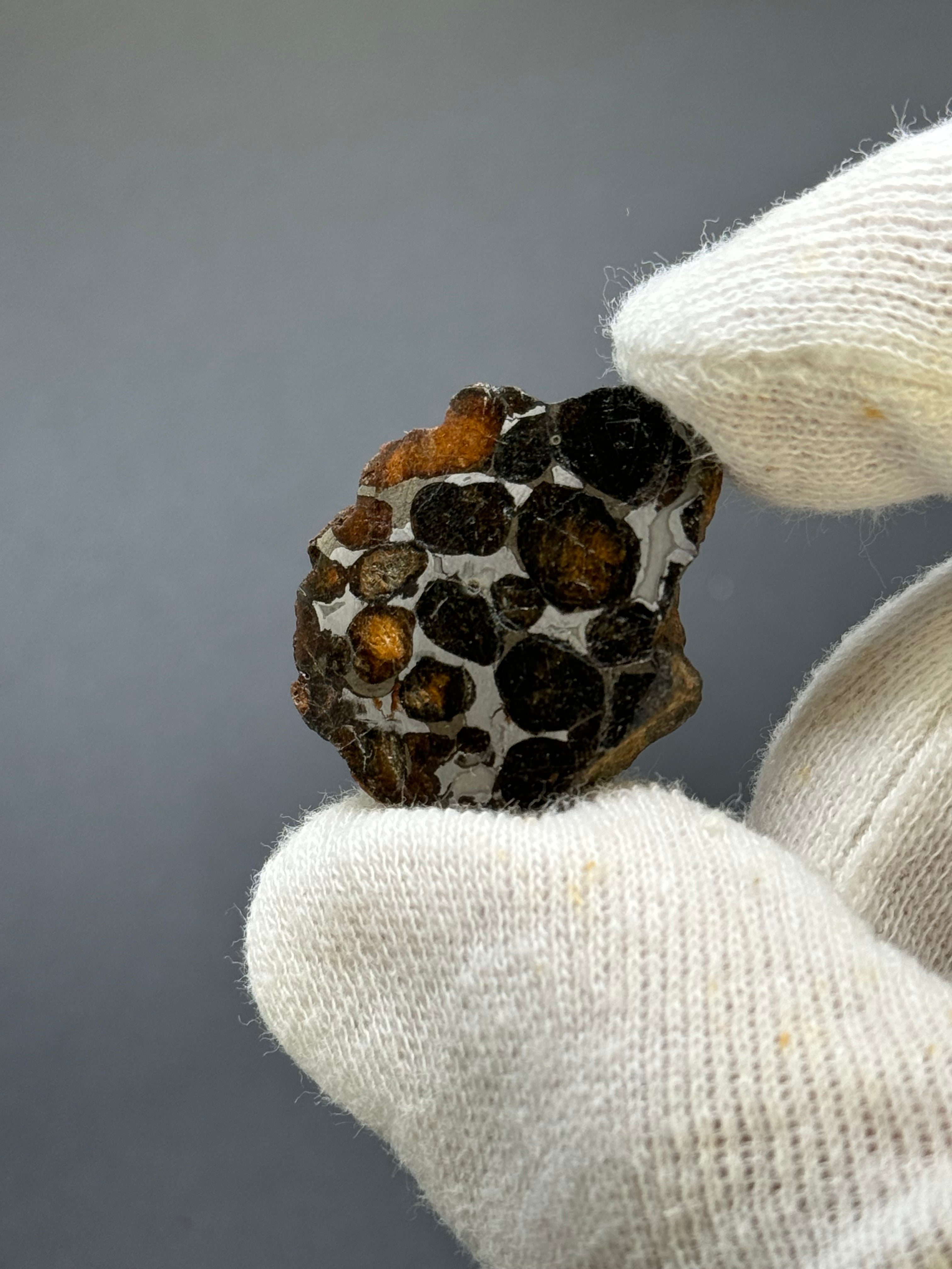 SERICHO PALLASITE METEORITE, KENYA. 12,21 GRAMS END-CUT