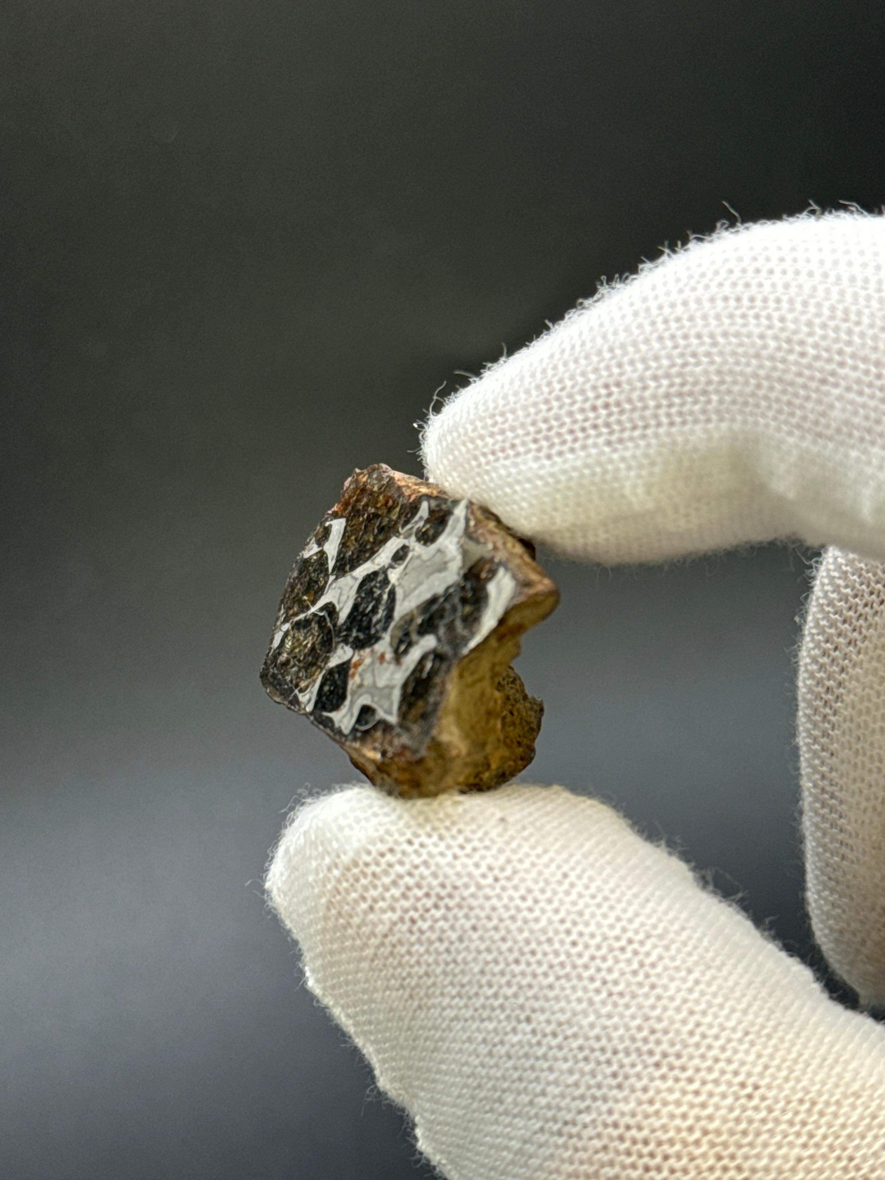 SERICHO PALLASITE METEORITE, KENYA. 13,49 GRAMS END-CUT