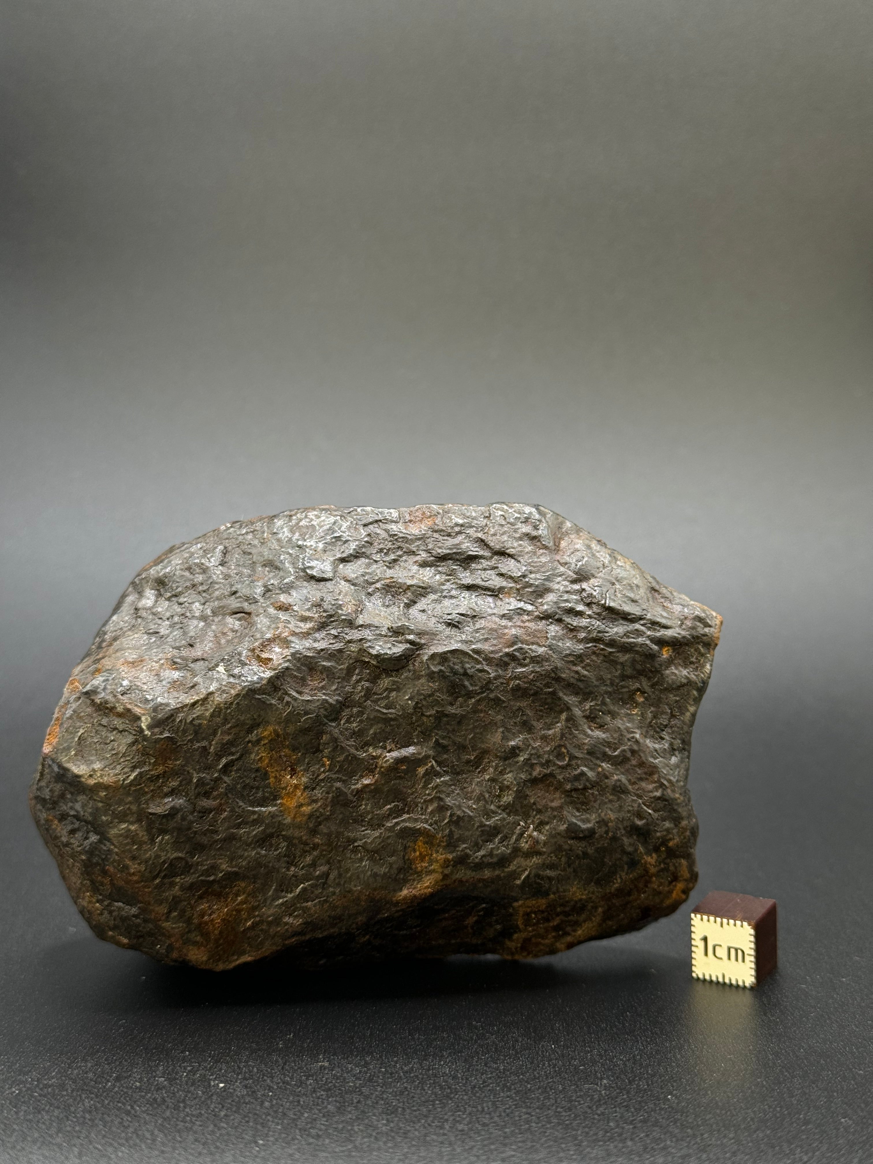 MUONIONALUSTA METEORITE, SWEDEN. FULL METEORITE 1104 GRAMS.