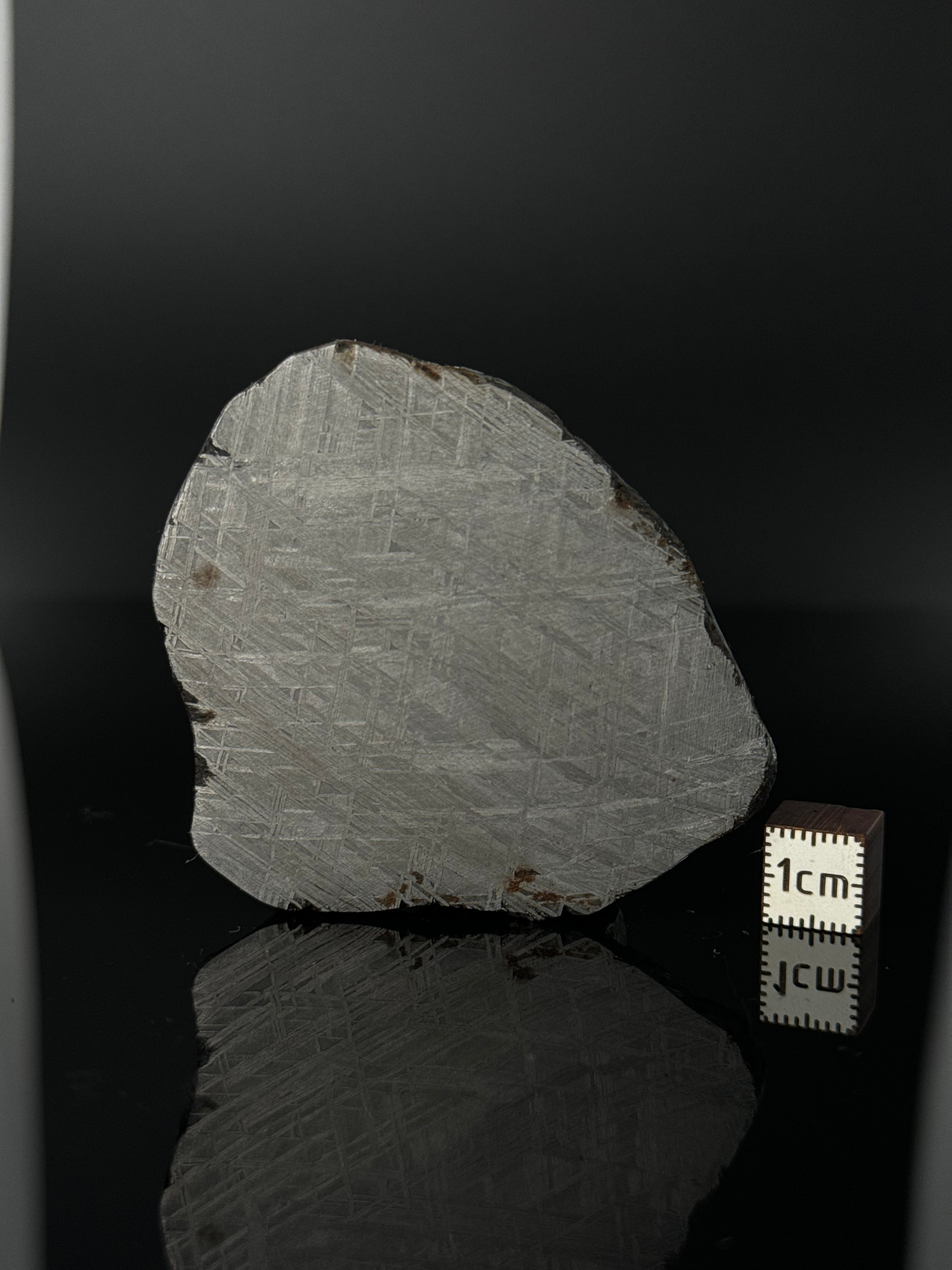 MUONIONALUSTA METEORITE, SWEDEN 80,80 GRAMS.