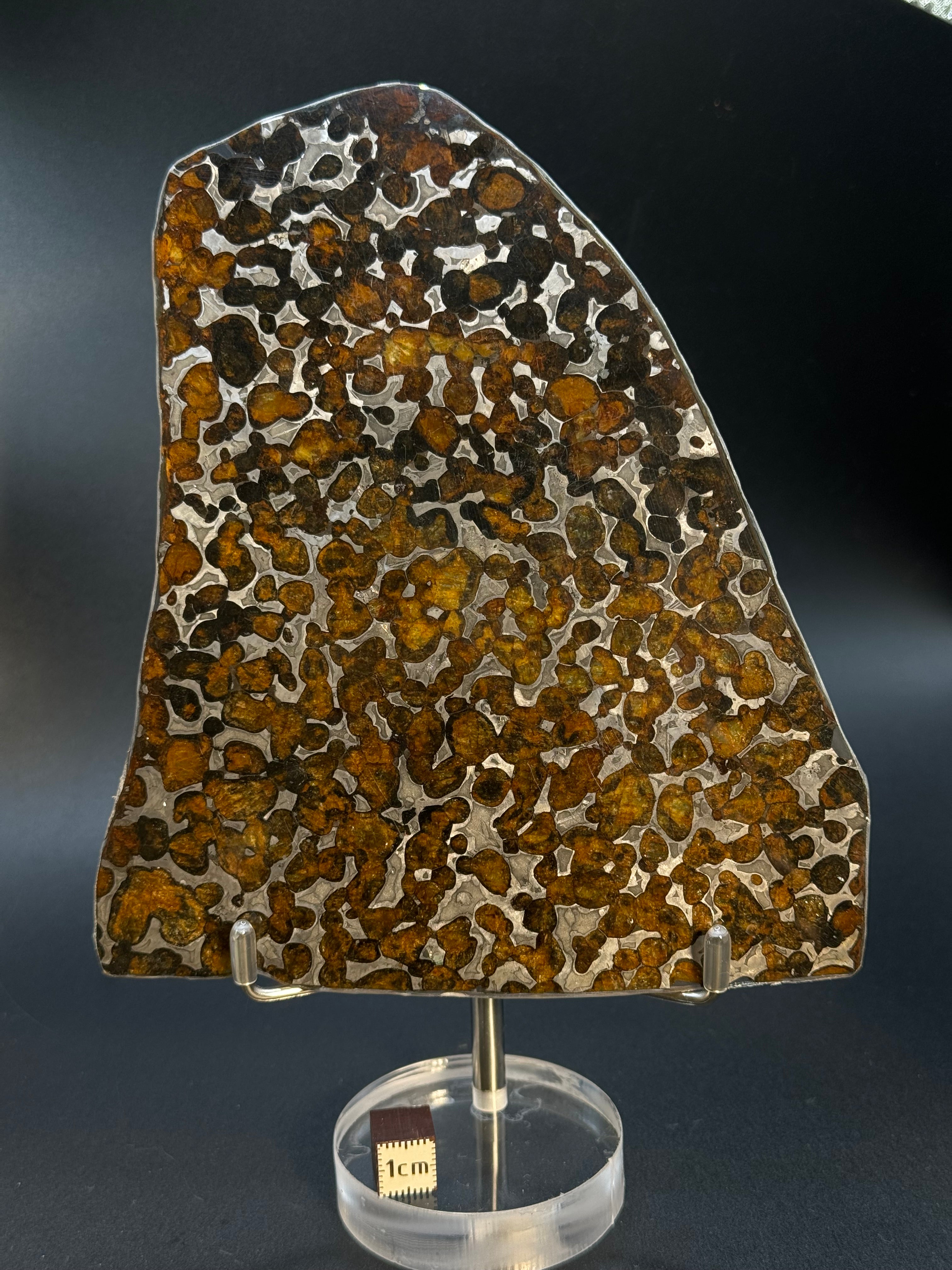 SERICHO METEORITE, KENYA. 87 GRAMS SLICE