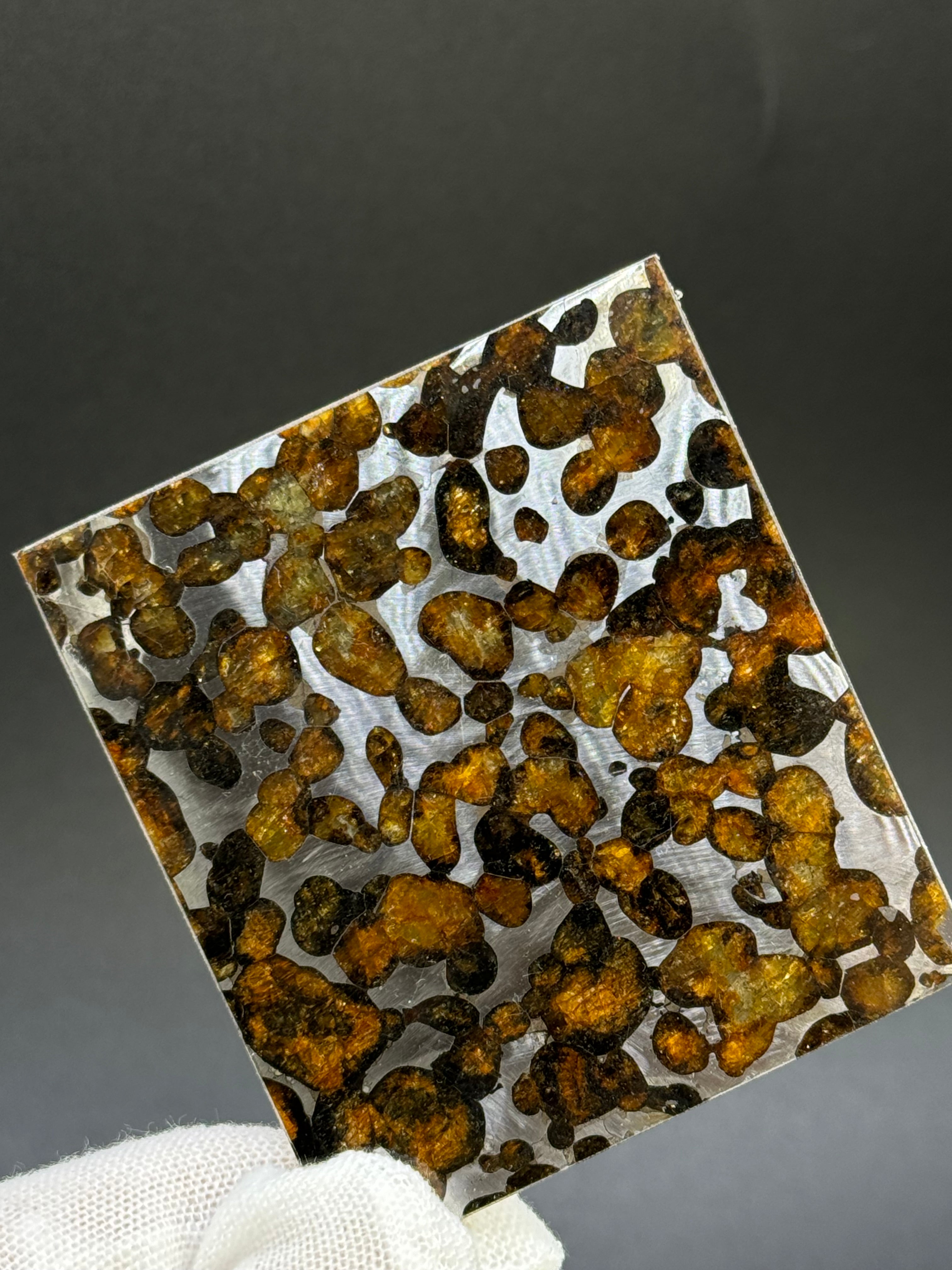 SERICHO METEORITE, KENYA. 24,10 GRAMS SLICE