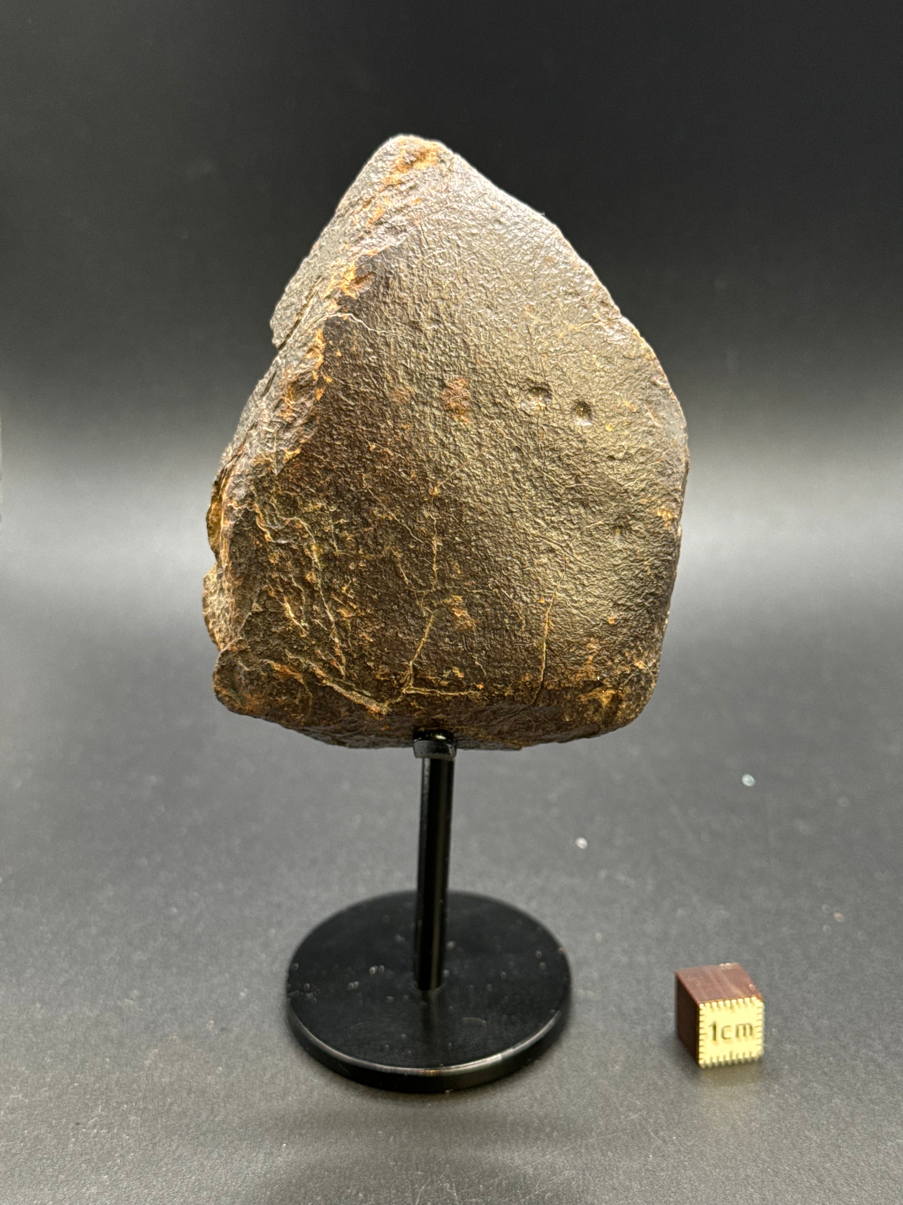 CHONDRITE METEORITE, NORTH WEST AFRICA. 232 GRAMS.