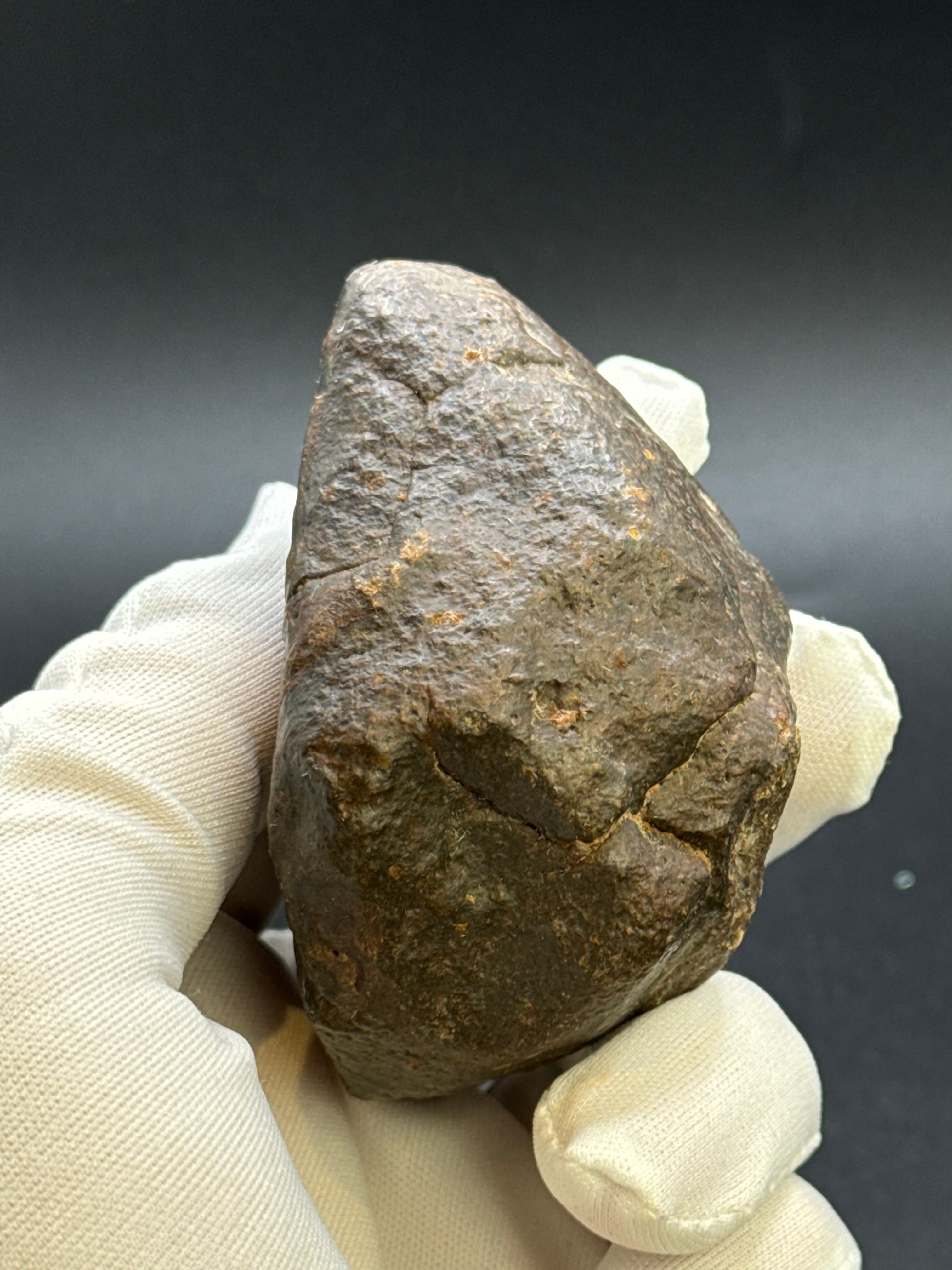 CHONDRITE METEORITE, NORTH WEST AFRICA. 310 GRAMS.