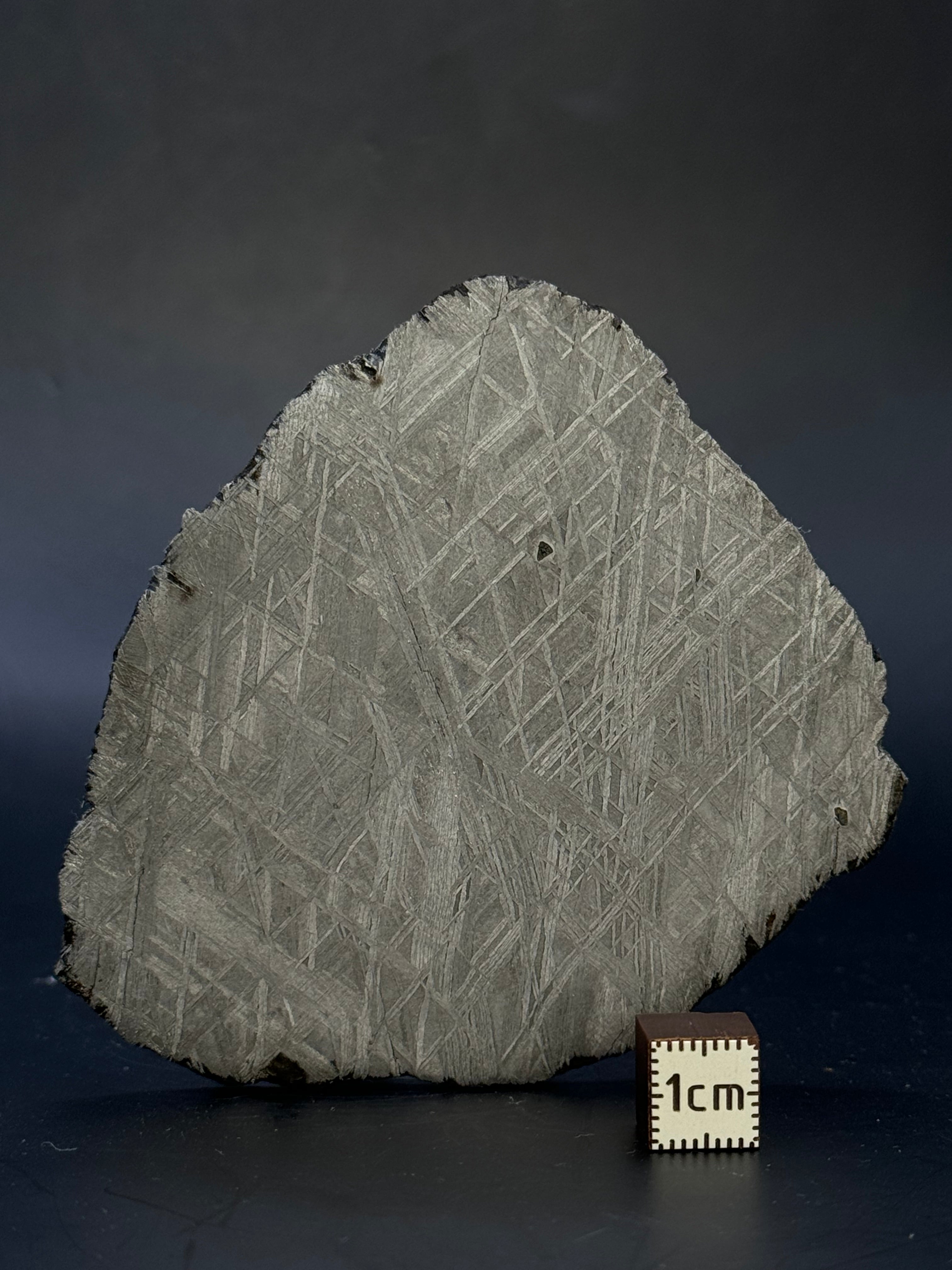 MUONIONALUSTA METEORITE, SWEDEN 102,95 GRAMS.
