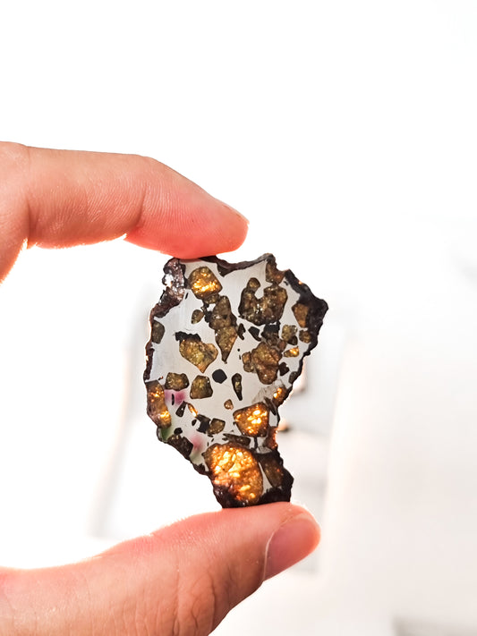 Imilac Pallasite meteorite, Chile. 15.54g