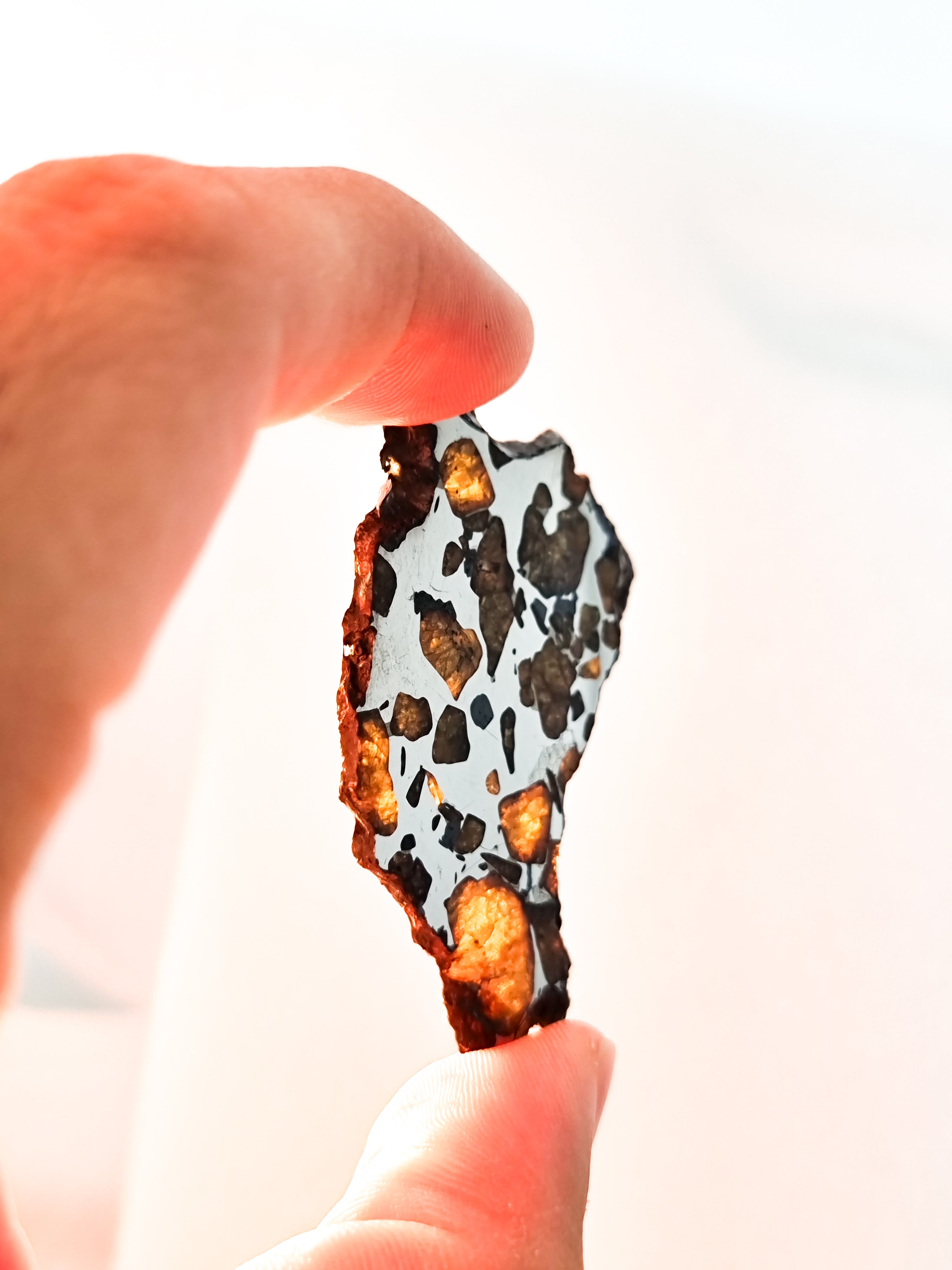 Imilac Pallasite meteorite, Chile. 15.54g