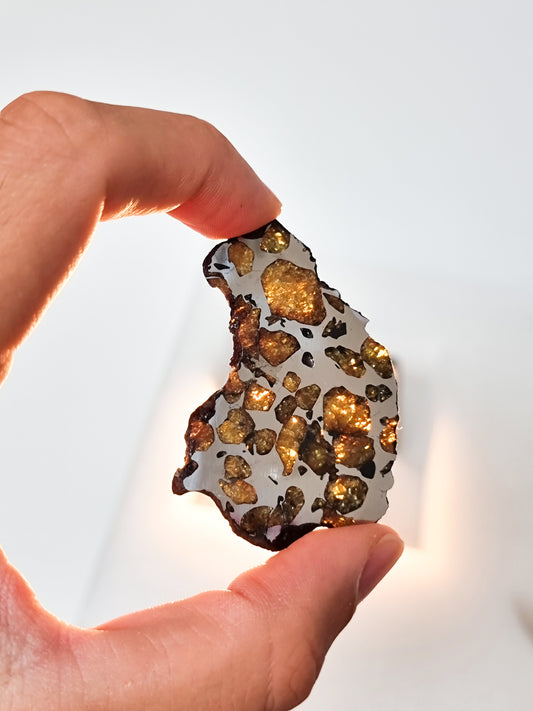 Imilac Pallasite meteorite, Chile. 15,81g