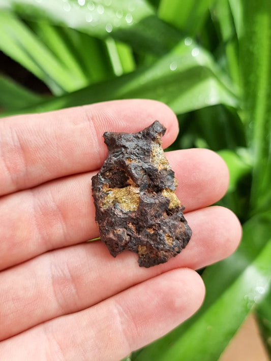 Imiliac Pallasite meteorite, Chile. 16.08g Endcut