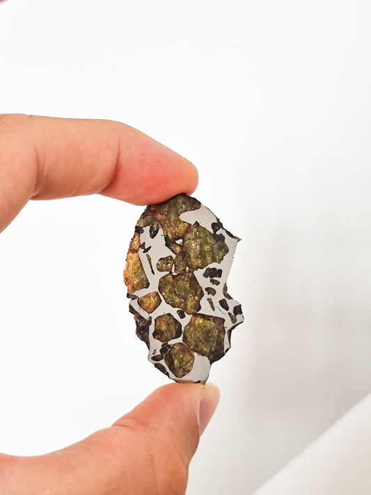 Imilac Pallasite meteorite, Chile. 27.95g Endcut.