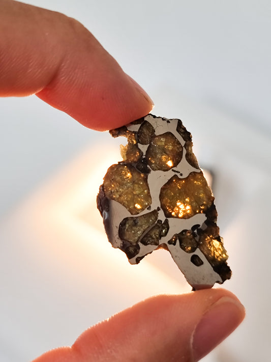 Imilac Pallasite meteorite, Chile. 5.94g
