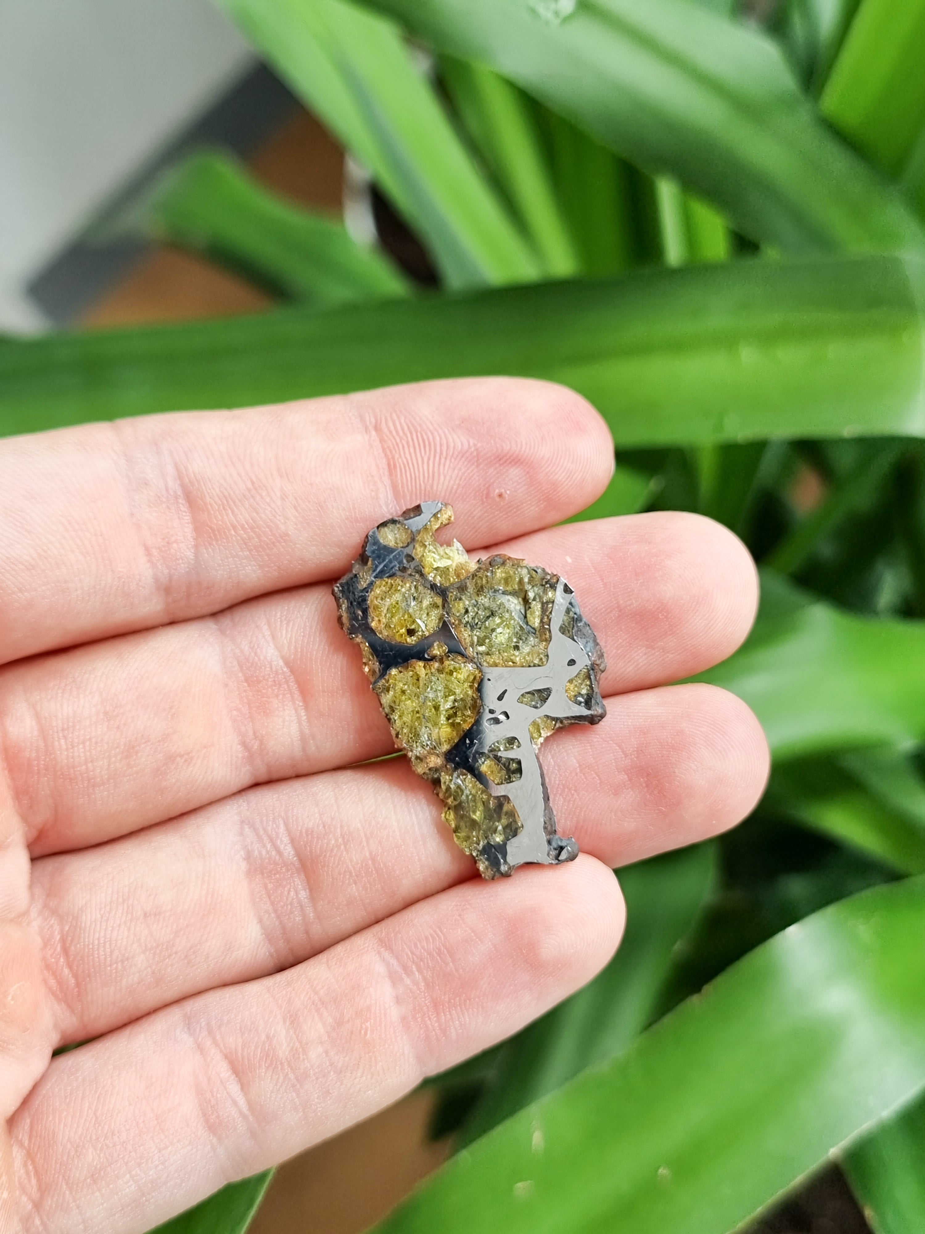 Imilac Pallasite meteorite, Chile. 5.94g