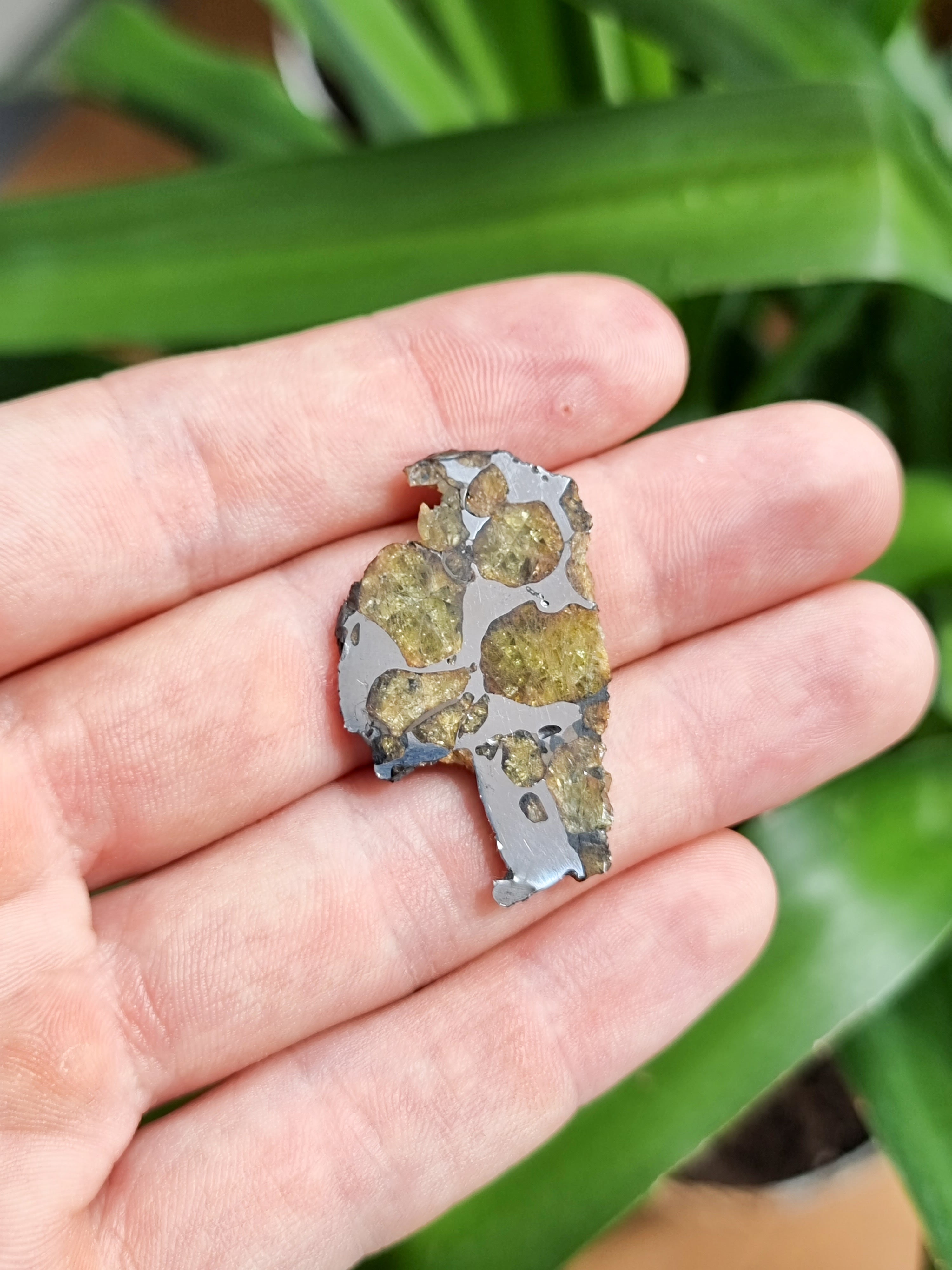 Imilac Pallasite meteorite, Chile. 5.94g