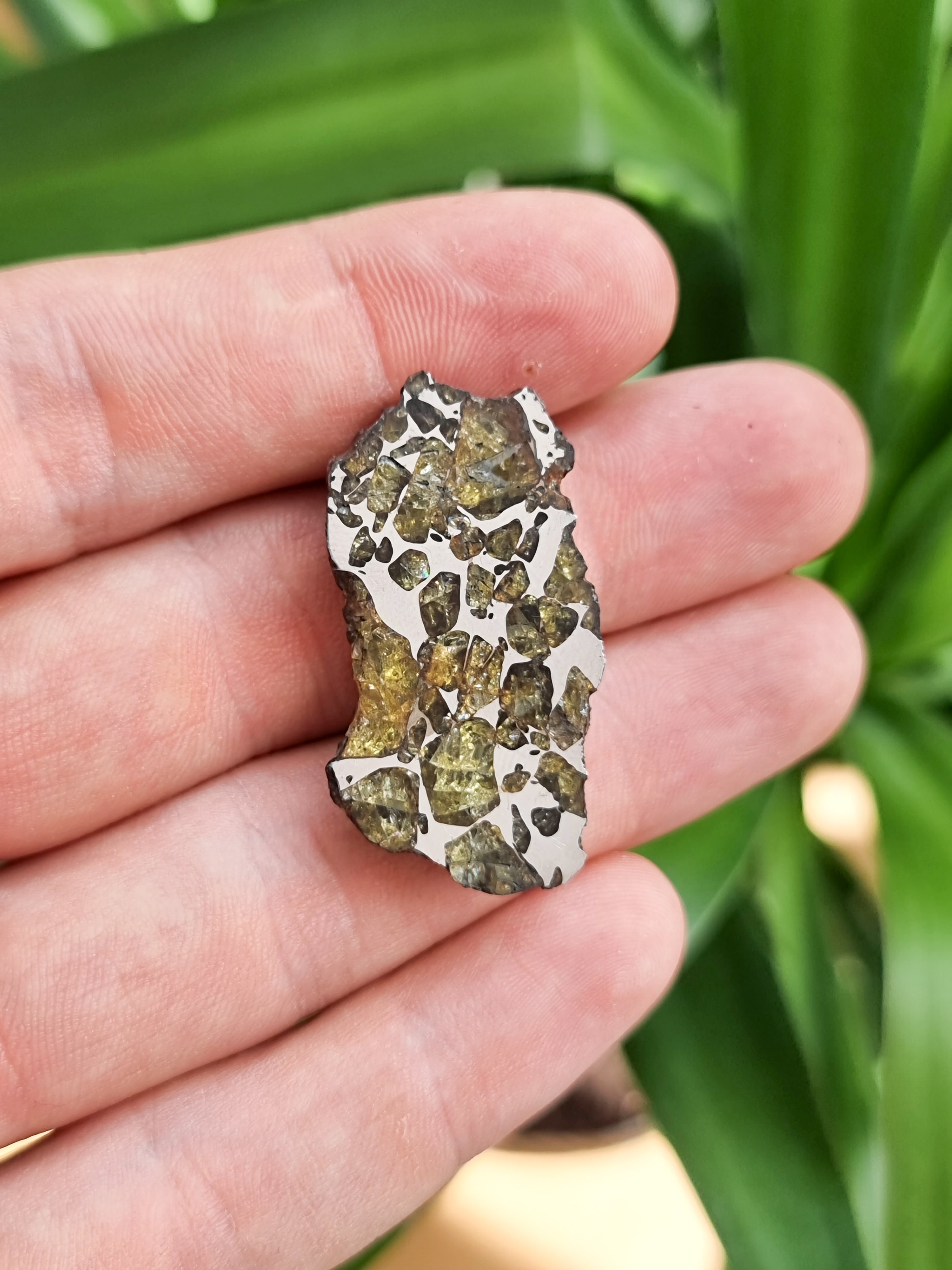 Imilac Pallasite meteorite, Chile. Endcut 13.84g