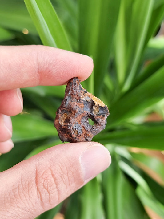 Imilac Pallasite meteorite, Chile. 9.14g Endcut