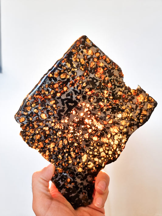Sericho Pallasite meteorite, Kenya. 284grams slice.
