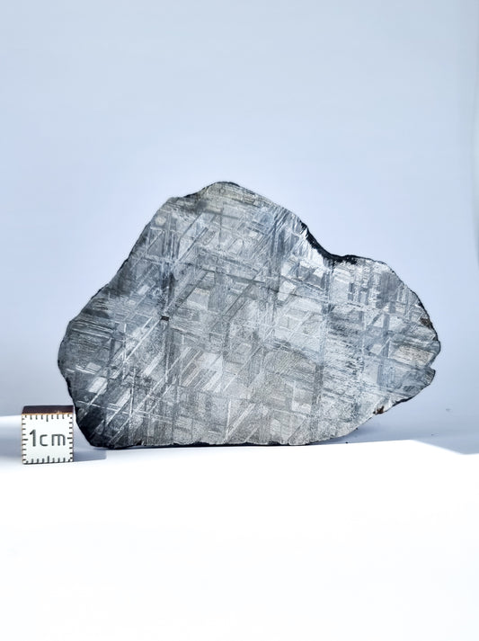 Muonionalusta meteorite slice 79.40g