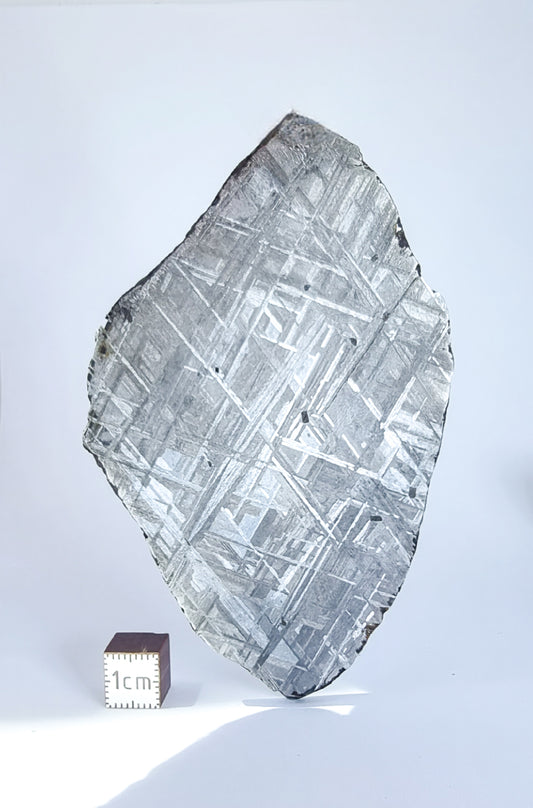 Muonionalusta meteorite slice 99.20g