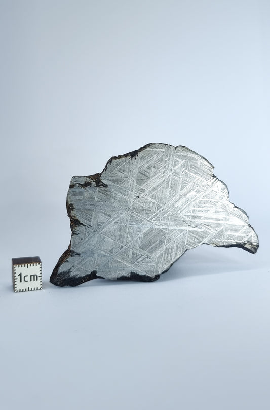 Muonionalusta meteorite slice 77.10g