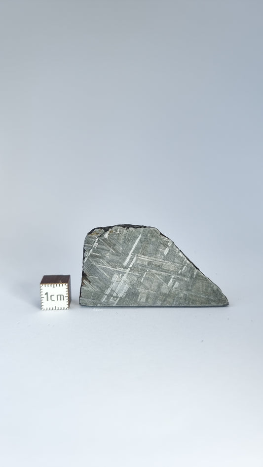 Muonionalusta meteorite slice 49.64g