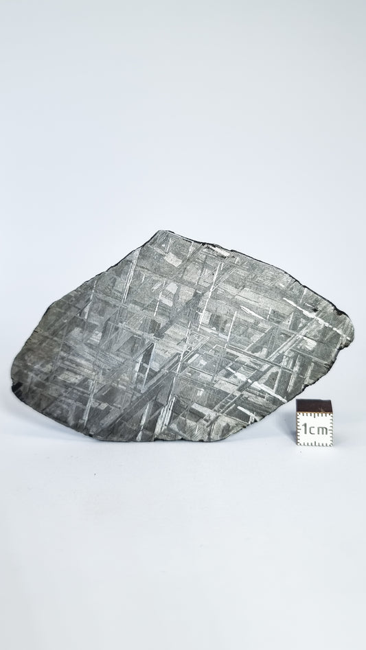 Muonionalusta meteorite, Sweden, 81.46g slice
